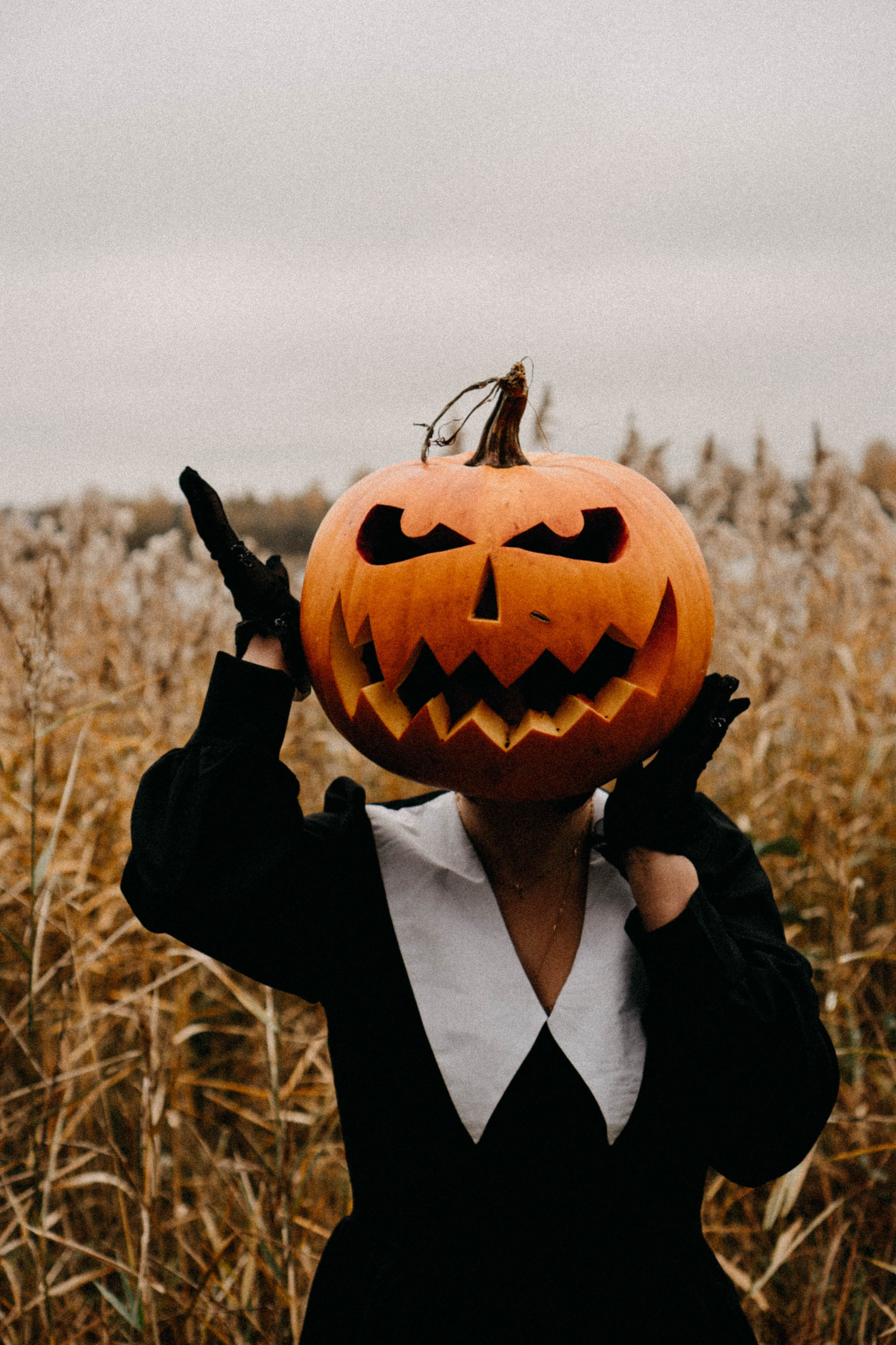 Осеняя. Профессиональный фотограф, Санкт-Петербург — Виктория Богомолова