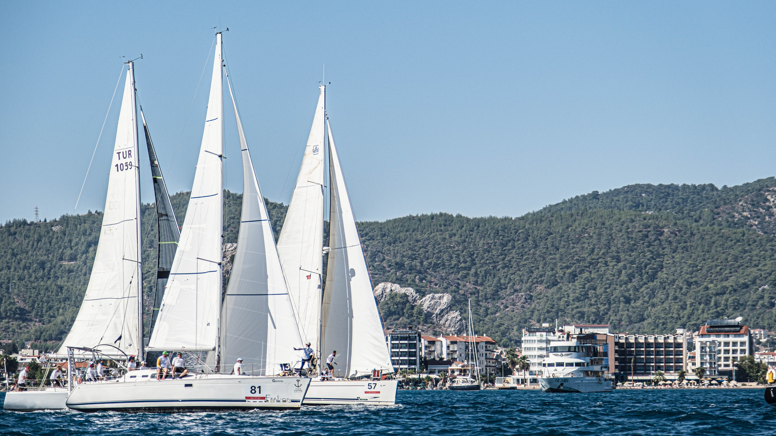 Sailing Regattas. Photographer Tatiana Kvasha