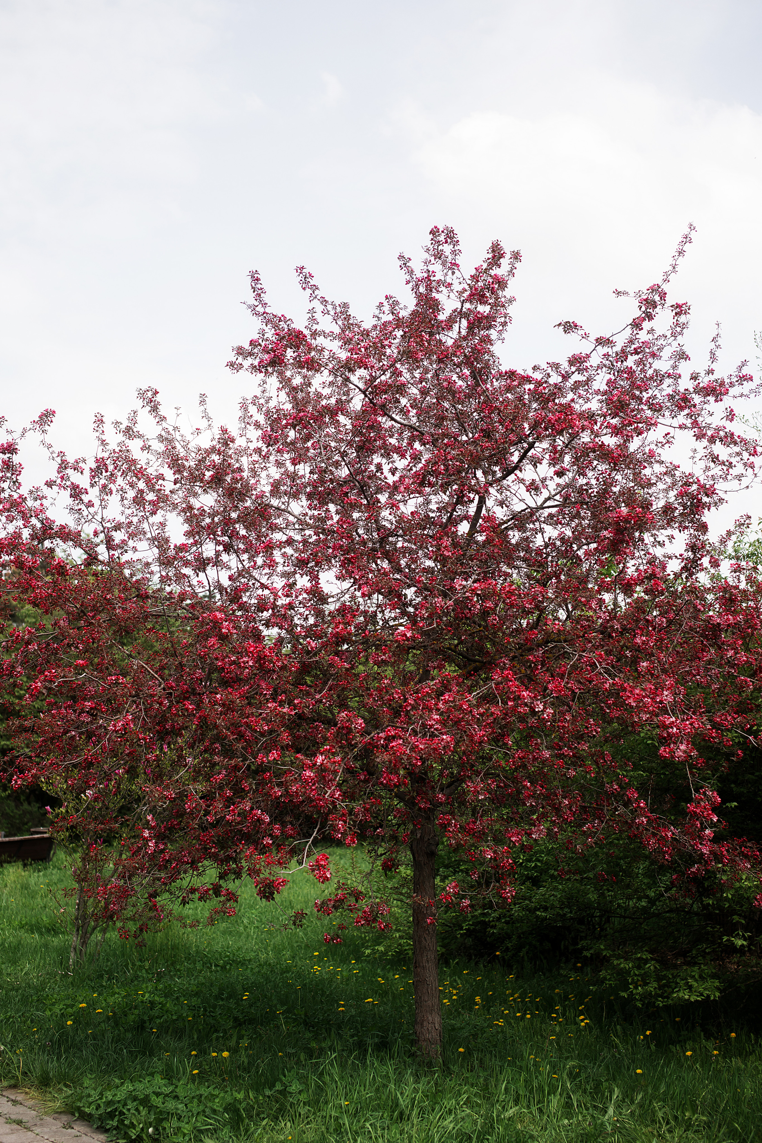 На заставку. Свадебный и семейный фотограф/видеограф в Краснодаре Наталья Осинская