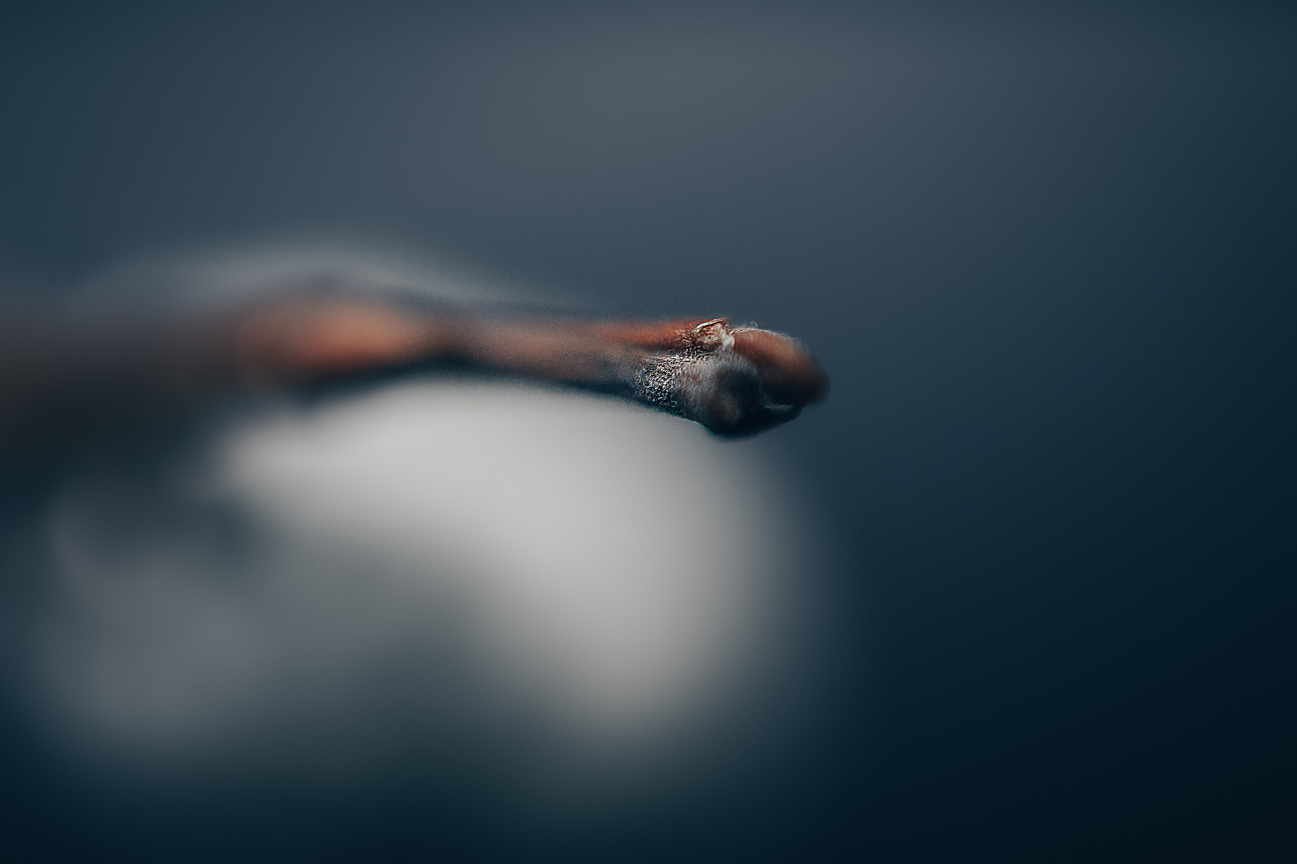 Макро. Свадебный и семейный фотограф/видеограф в Краснодаре Наталья Осинская