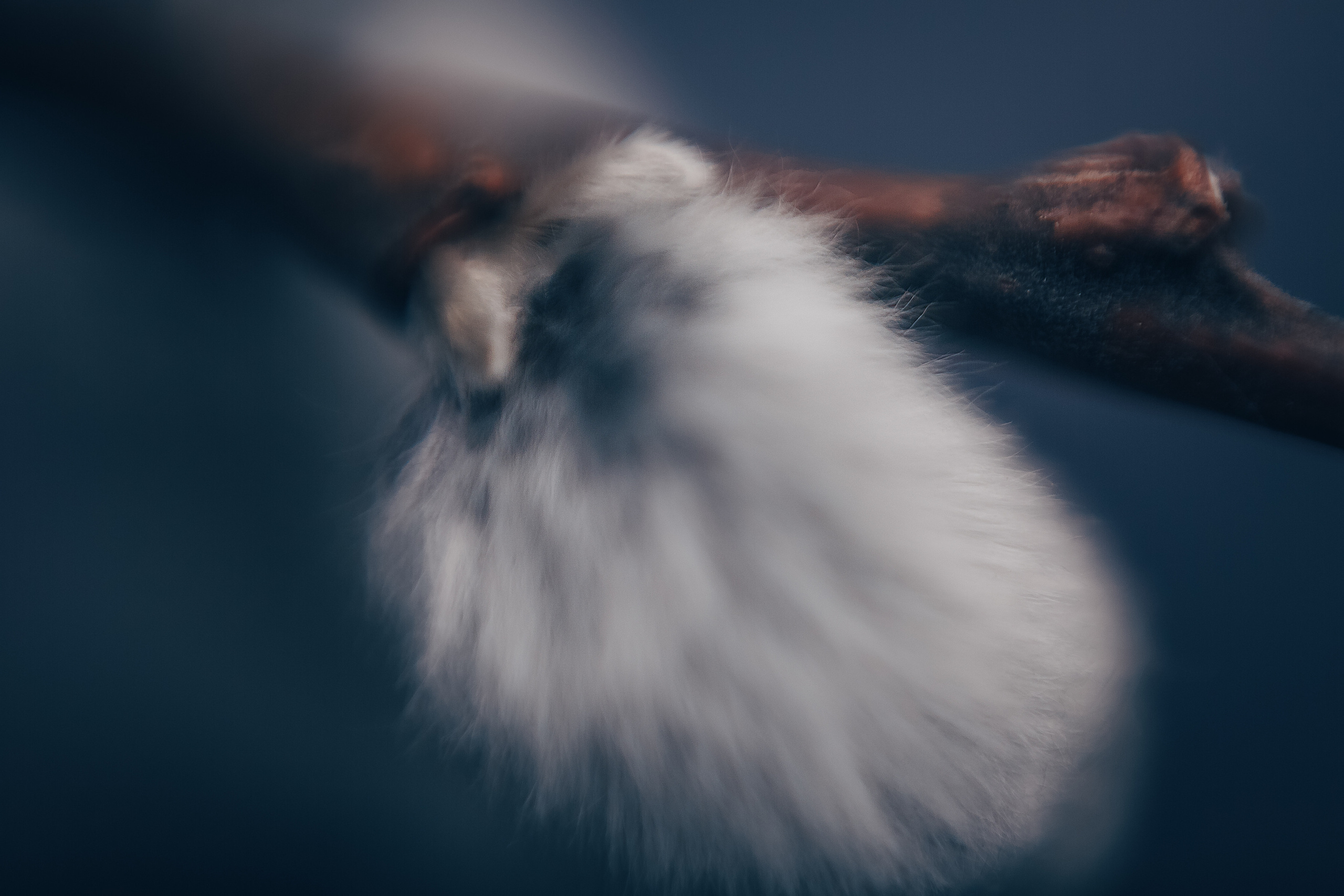 Макро. Свадебный и семейный фотограф/видеограф в Краснодаре Наталья Осинская