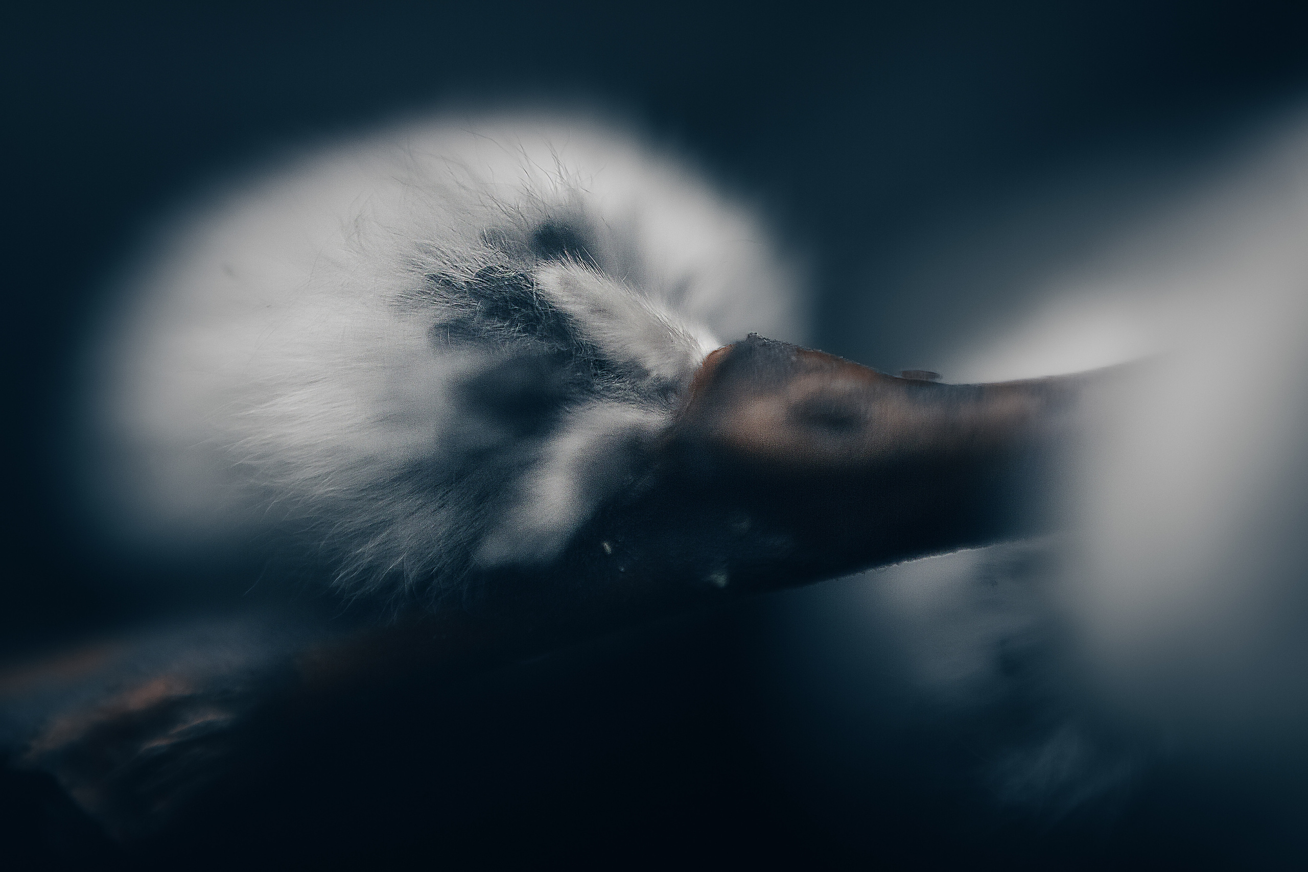 Макро. Свадебный и семейный фотограф/видеограф в Краснодаре Наталья Осинская