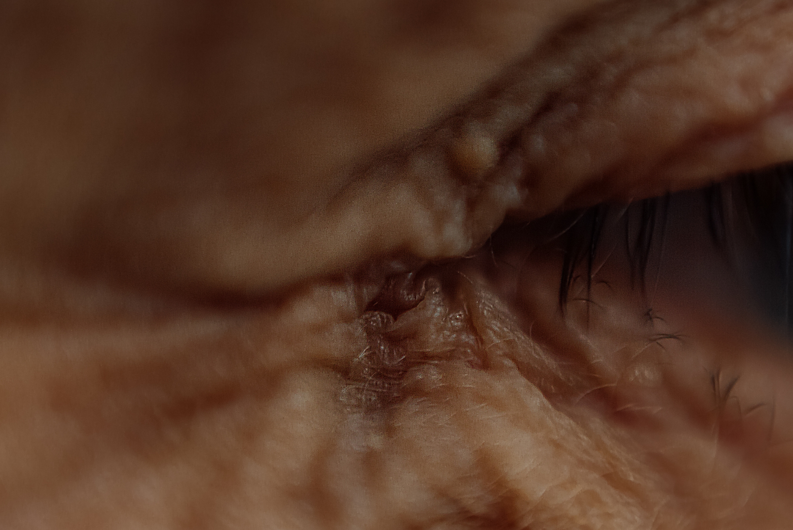 Макро. Свадебный и семейный фотограф/видеограф в Краснодаре Наталья Осинская