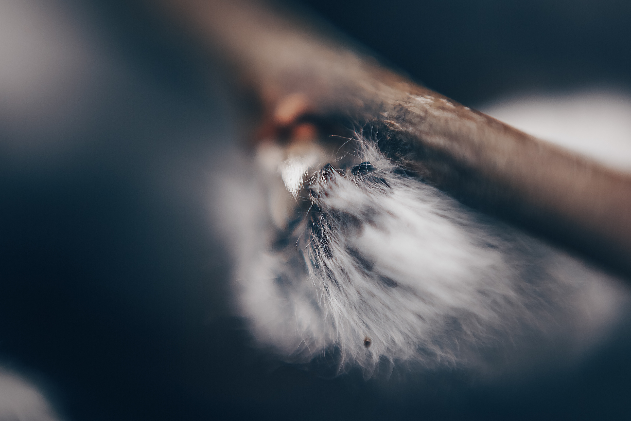 Макро. Свадебный и семейный фотограф/видеограф в Краснодаре Наталья Осинская