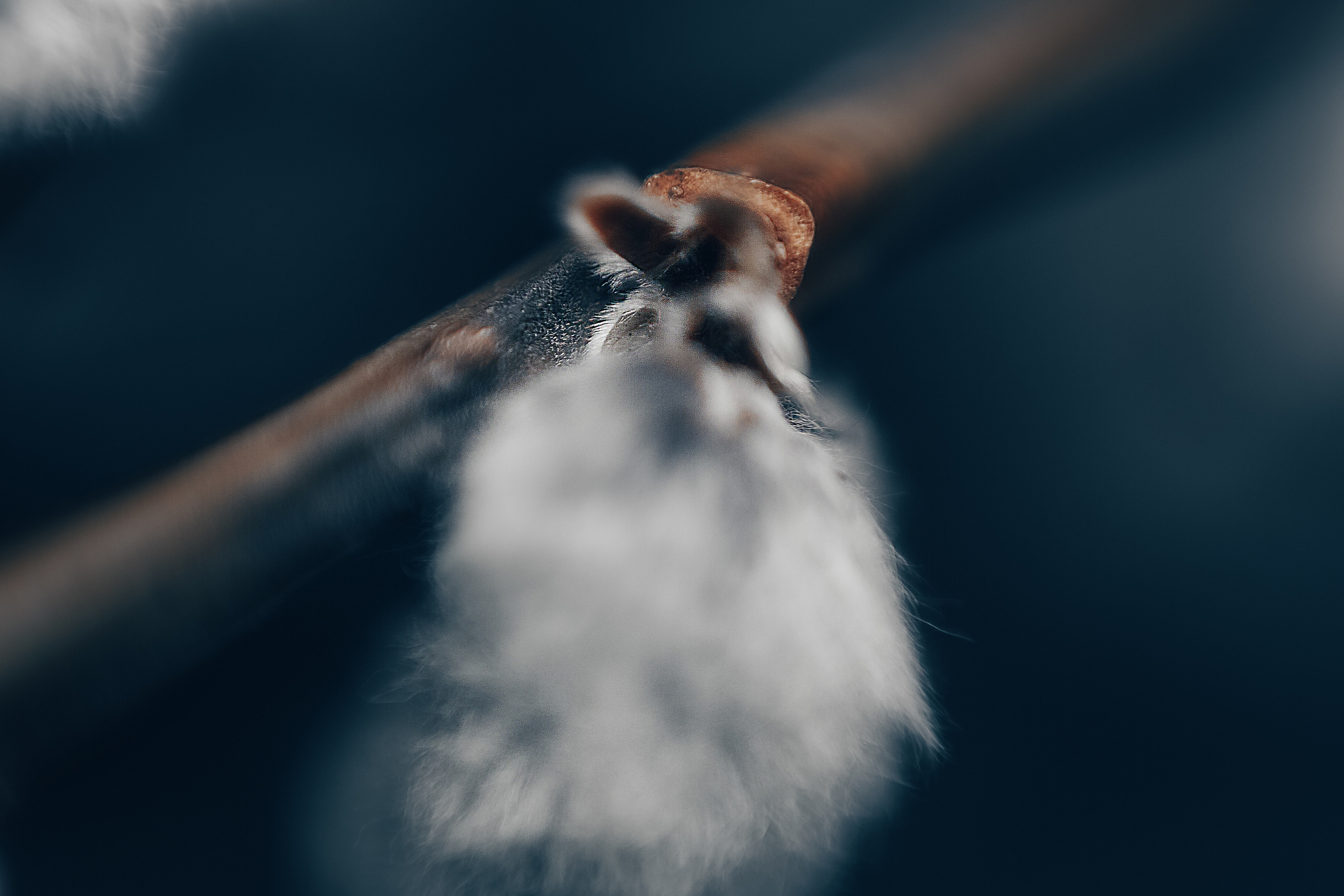 Макро. Свадебный и семейный фотограф/видеограф в Краснодаре Наталья Осинская