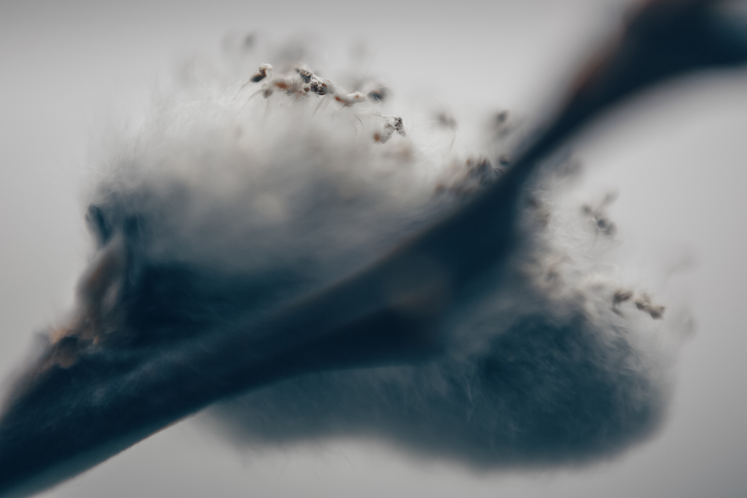 Макро. Свадебный и семейный фотограф/видеограф в Краснодаре Наталья Осинская