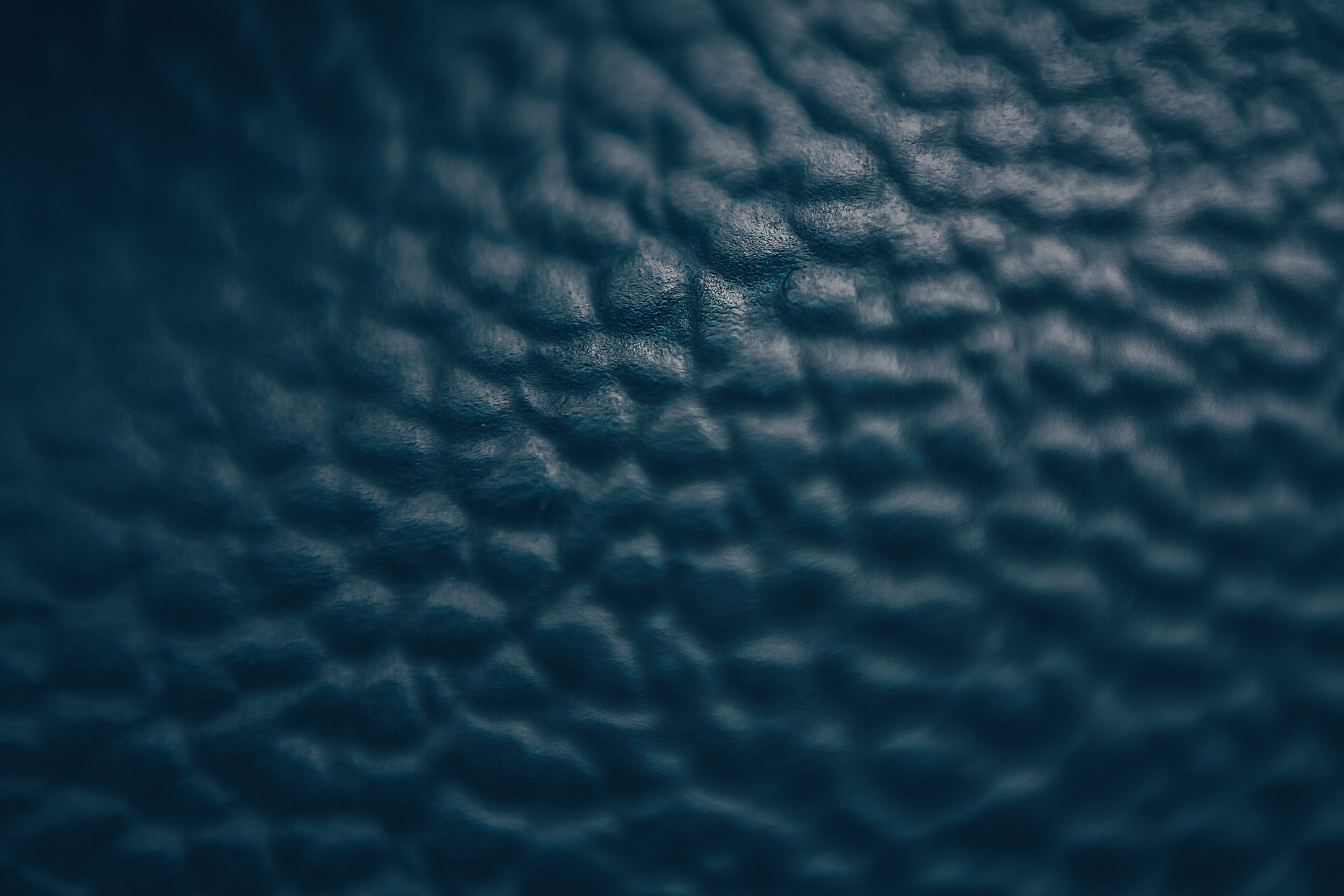 Макро. Свадебный и семейный фотограф/видеограф в Краснодаре Наталья Осинская