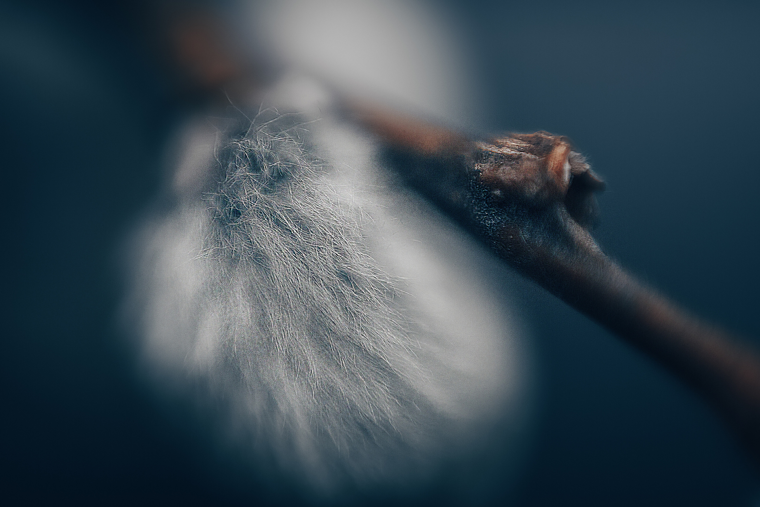 Макро. Свадебный и семейный фотограф/видеограф в Краснодаре Наталья Осинская