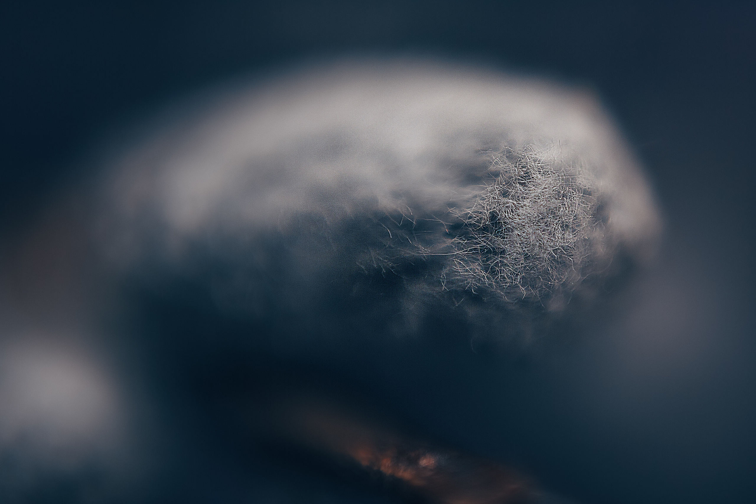 Макро. Свадебный и семейный фотограф/видеограф в Краснодаре Наталья Осинская