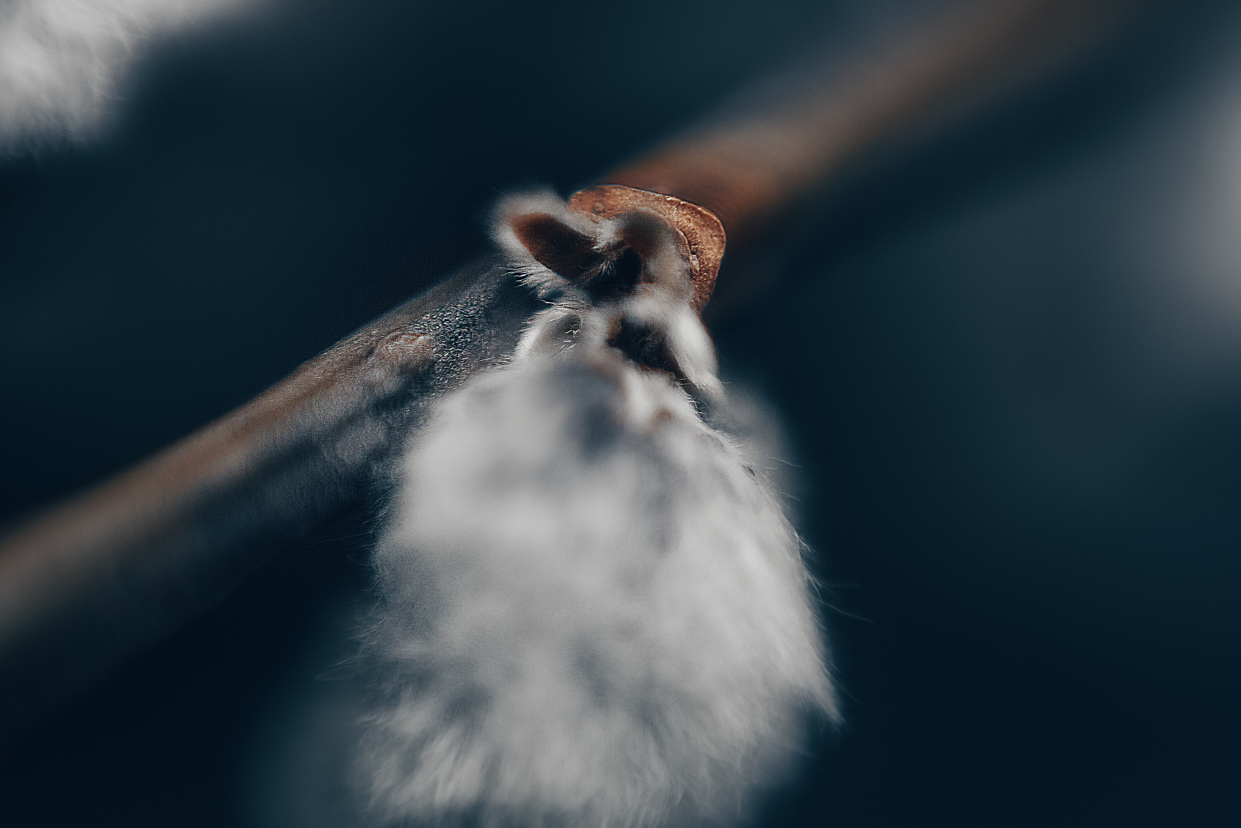 Макро. Свадебный и семейный фотограф/видеограф в Краснодаре Наталья Осинская