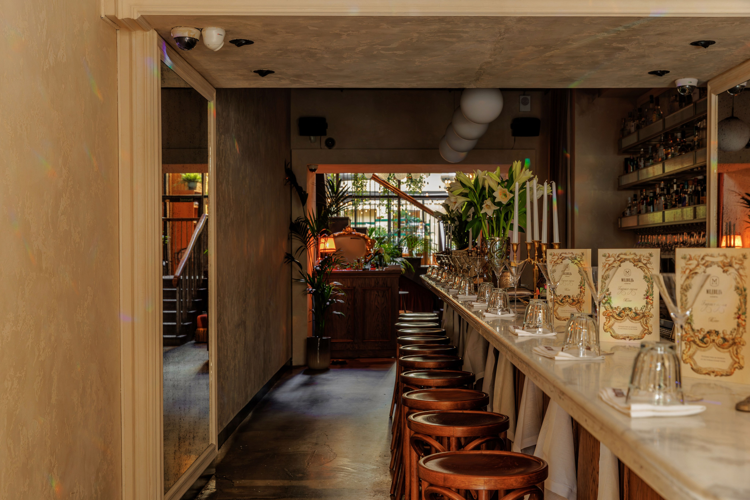 Медведь. Репортажный фотограф в Санкт-Петербурге Жолудев Владислав