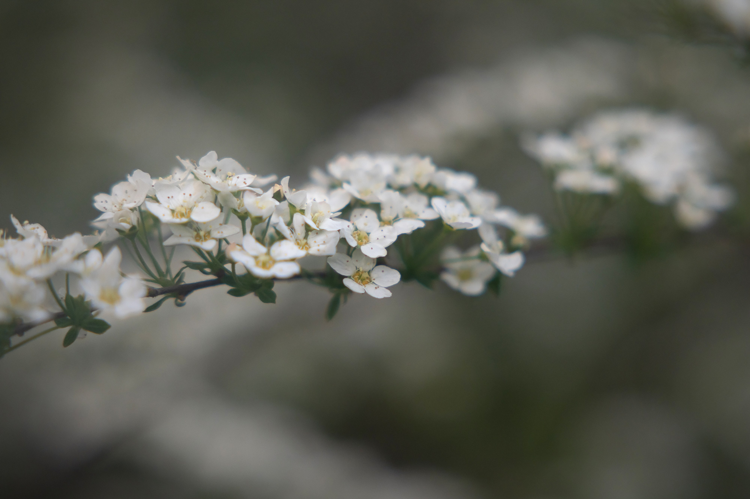 Город, деревня, улицы, дома…жизнь. Фотограф портретист в Санкт Петербурге Дроздова Алла