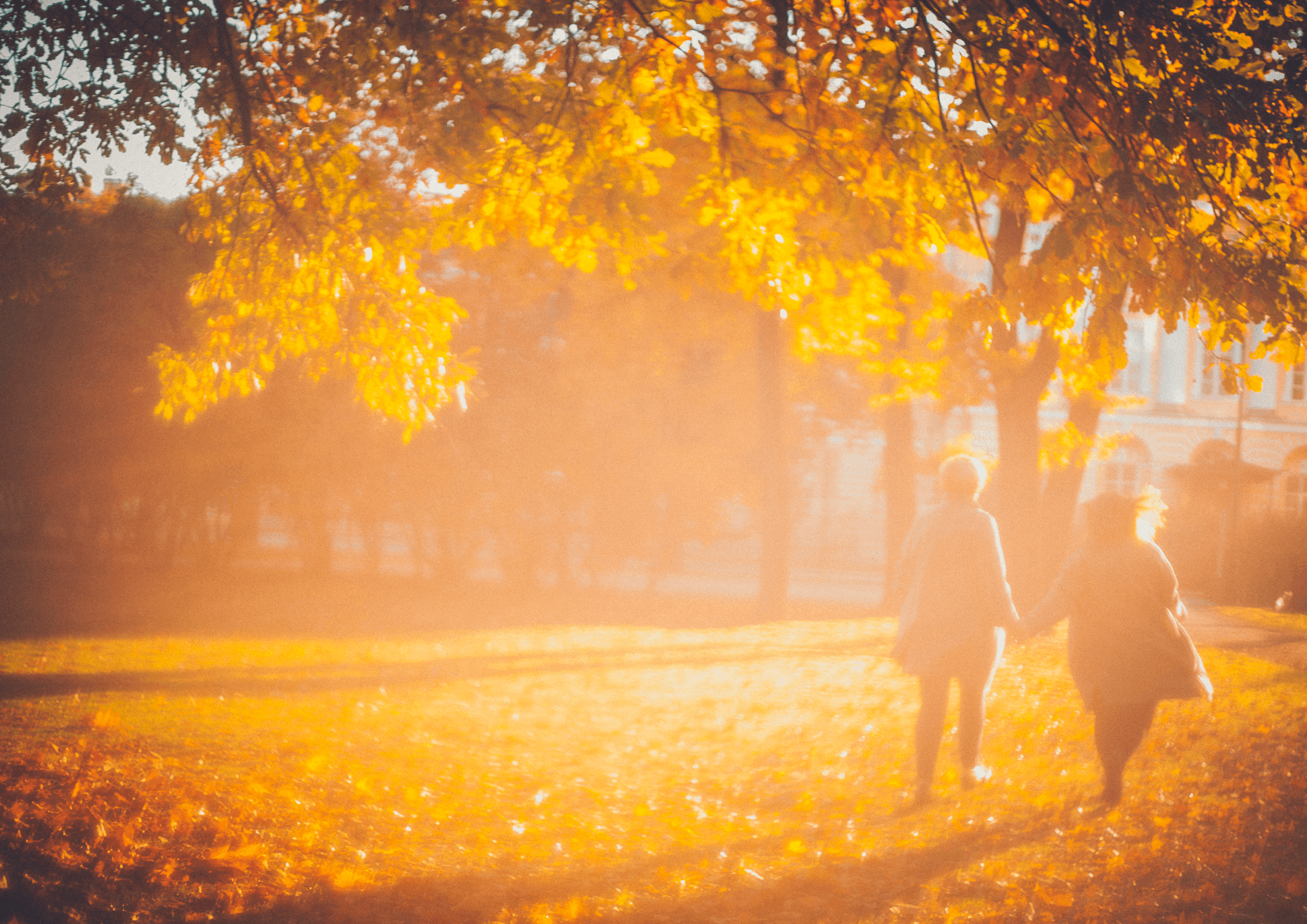 Faddy. Фотограф Александра Степанова