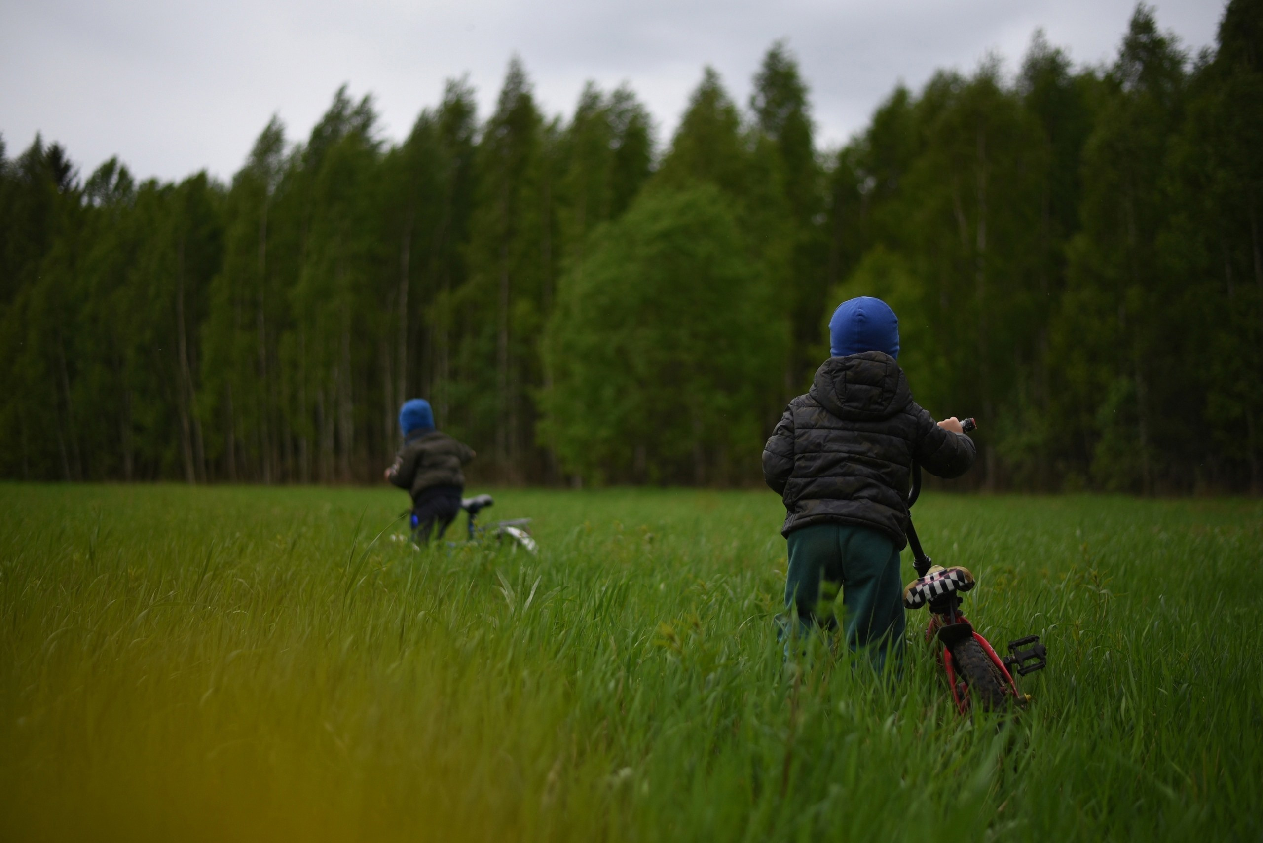 Обучение. Фотограф Людмила Оюн