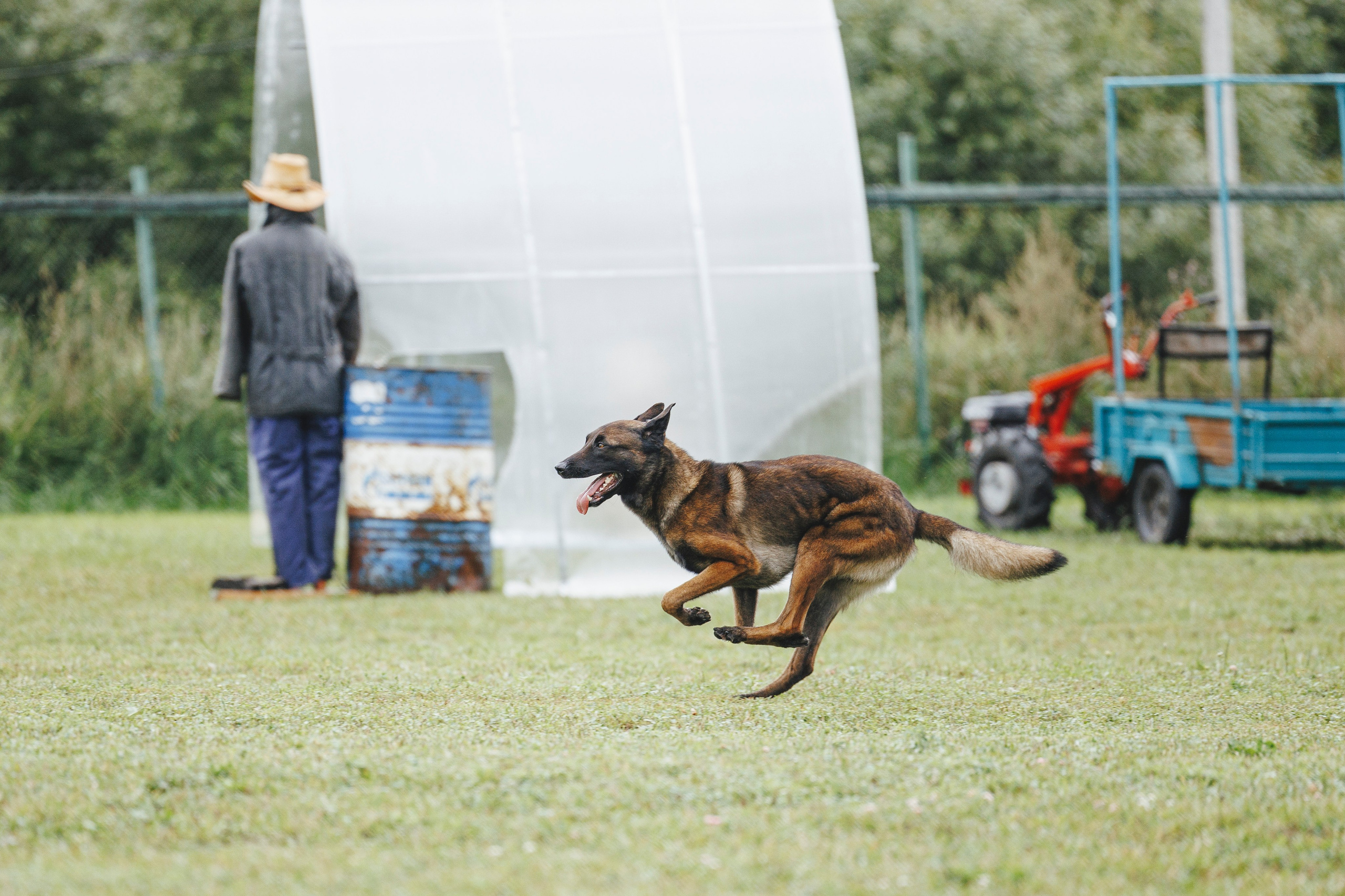 08.08.25-10.08.25 ЧР по мондьорингу г. Вологда. Фотограф-анималист Анна Маринич