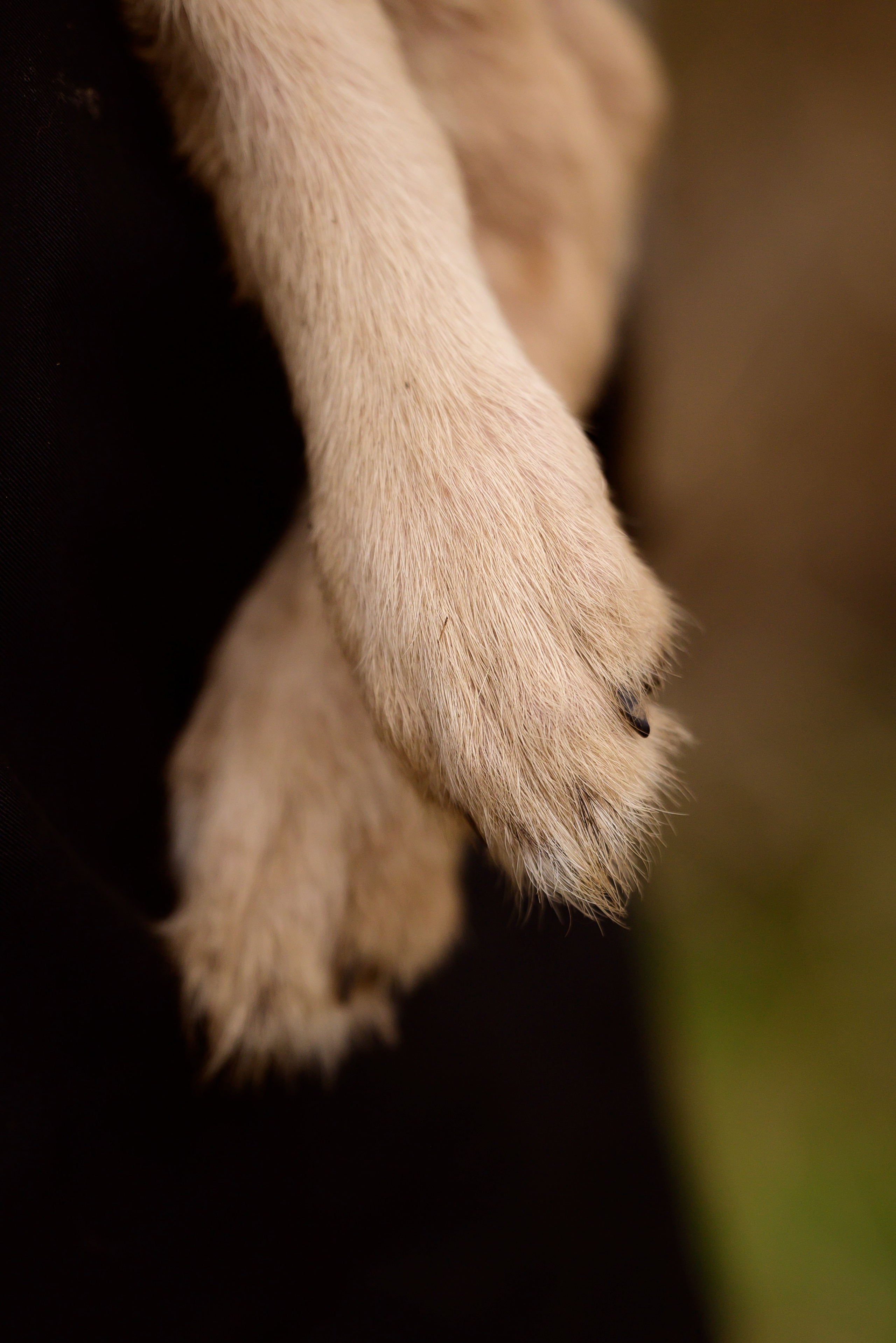 Круассанчики. Мила Астахова