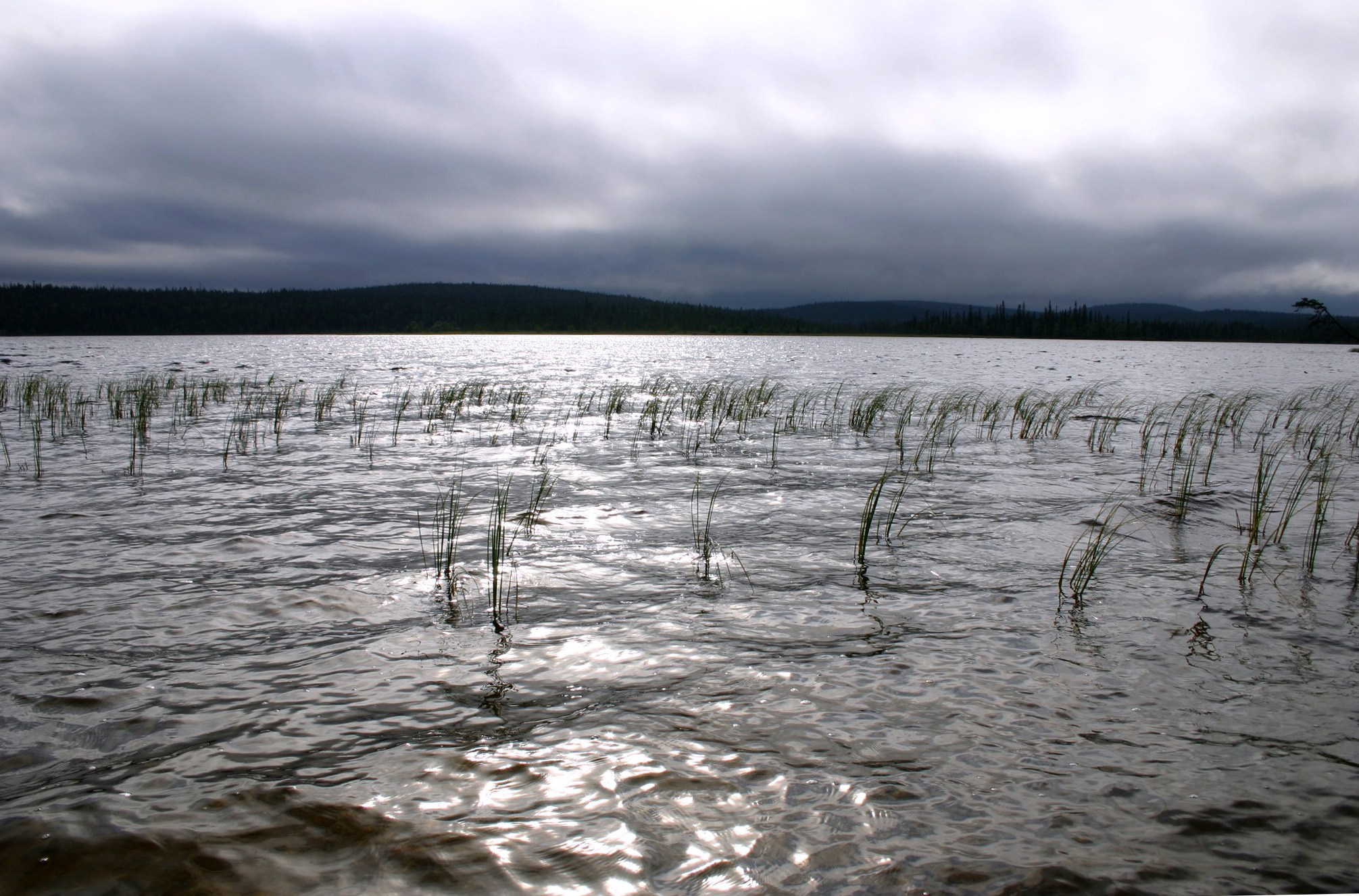 Водоемы. Пейзажи Крайнего Севера. Баренцево море, Рыбачий, Средний, Немецкий