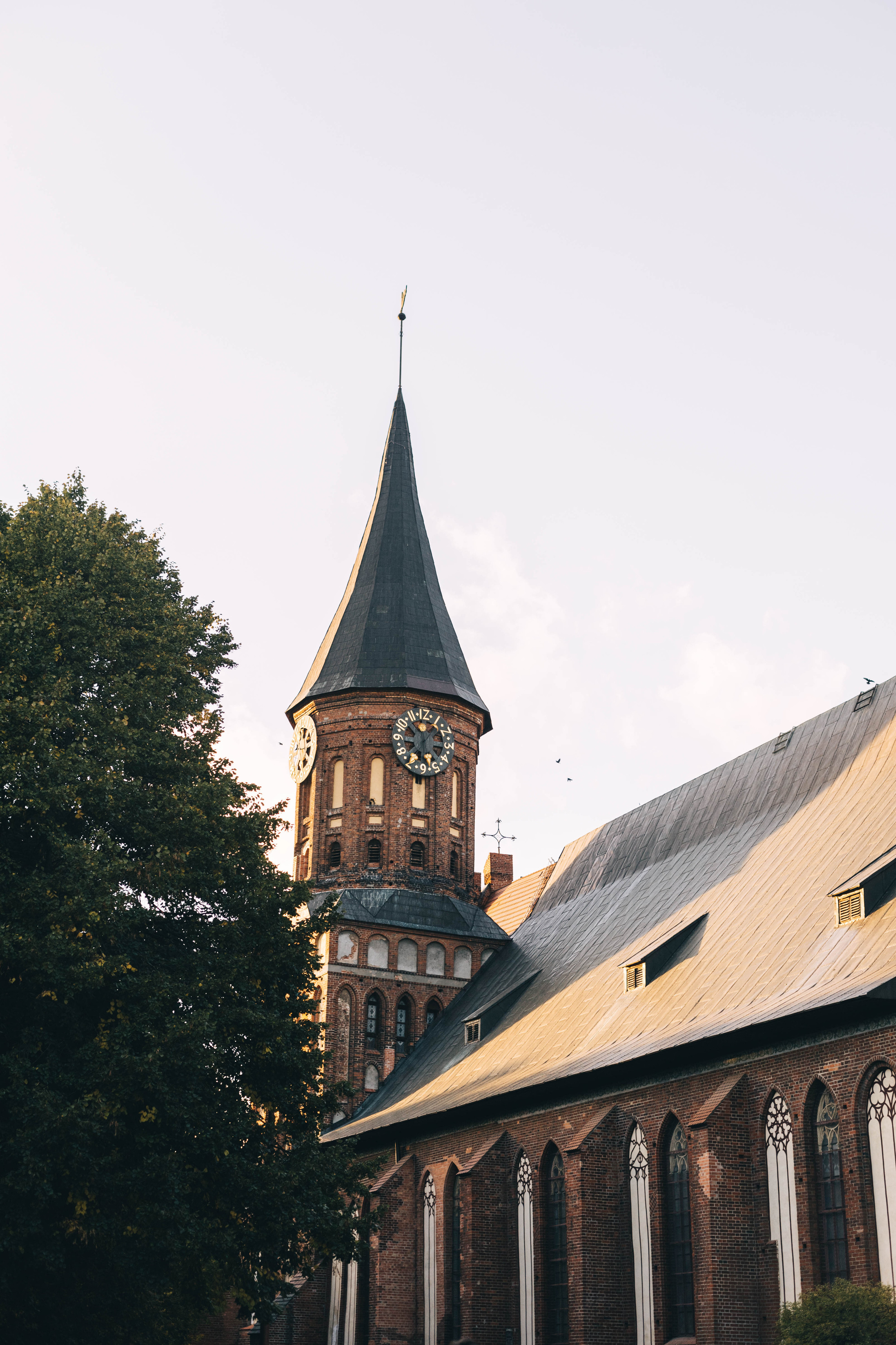 For Daria. Свадебный и портретный фотограф в Калининграде Наталия Еник