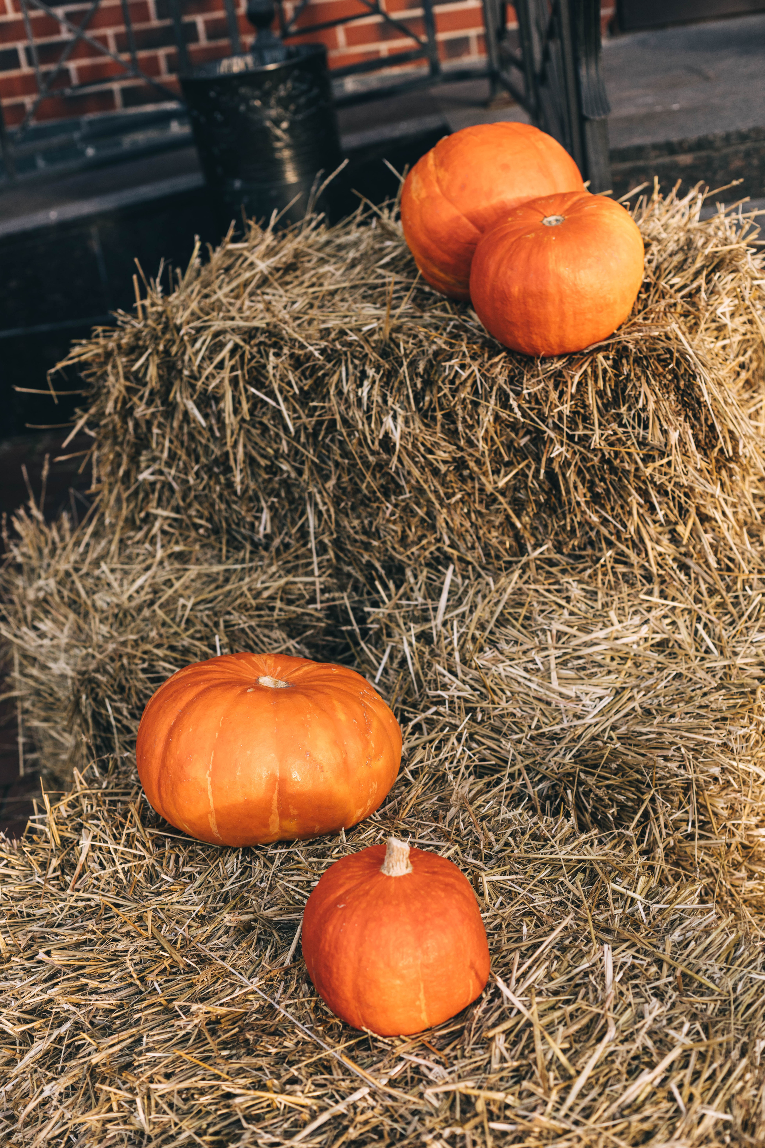 For Daria. Свадебный и портретный фотограф в Калининграде Наталия Еник