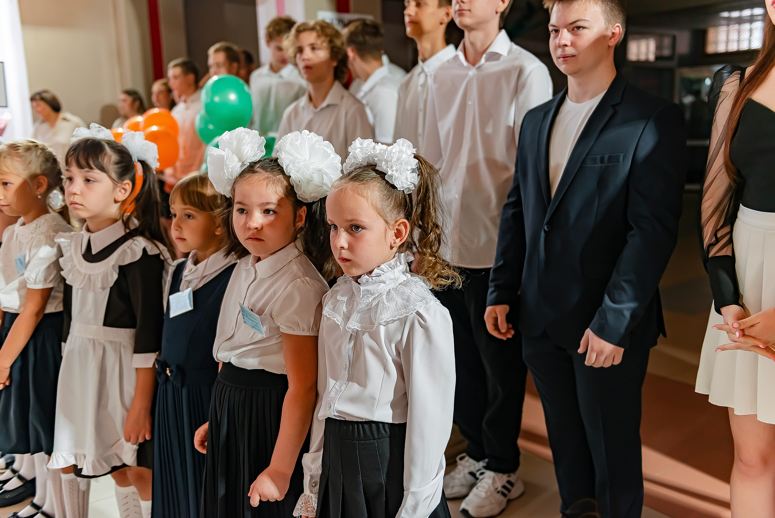 1 «В» | Гимназия № 3| г. Белгород |2024. ALBUMIA