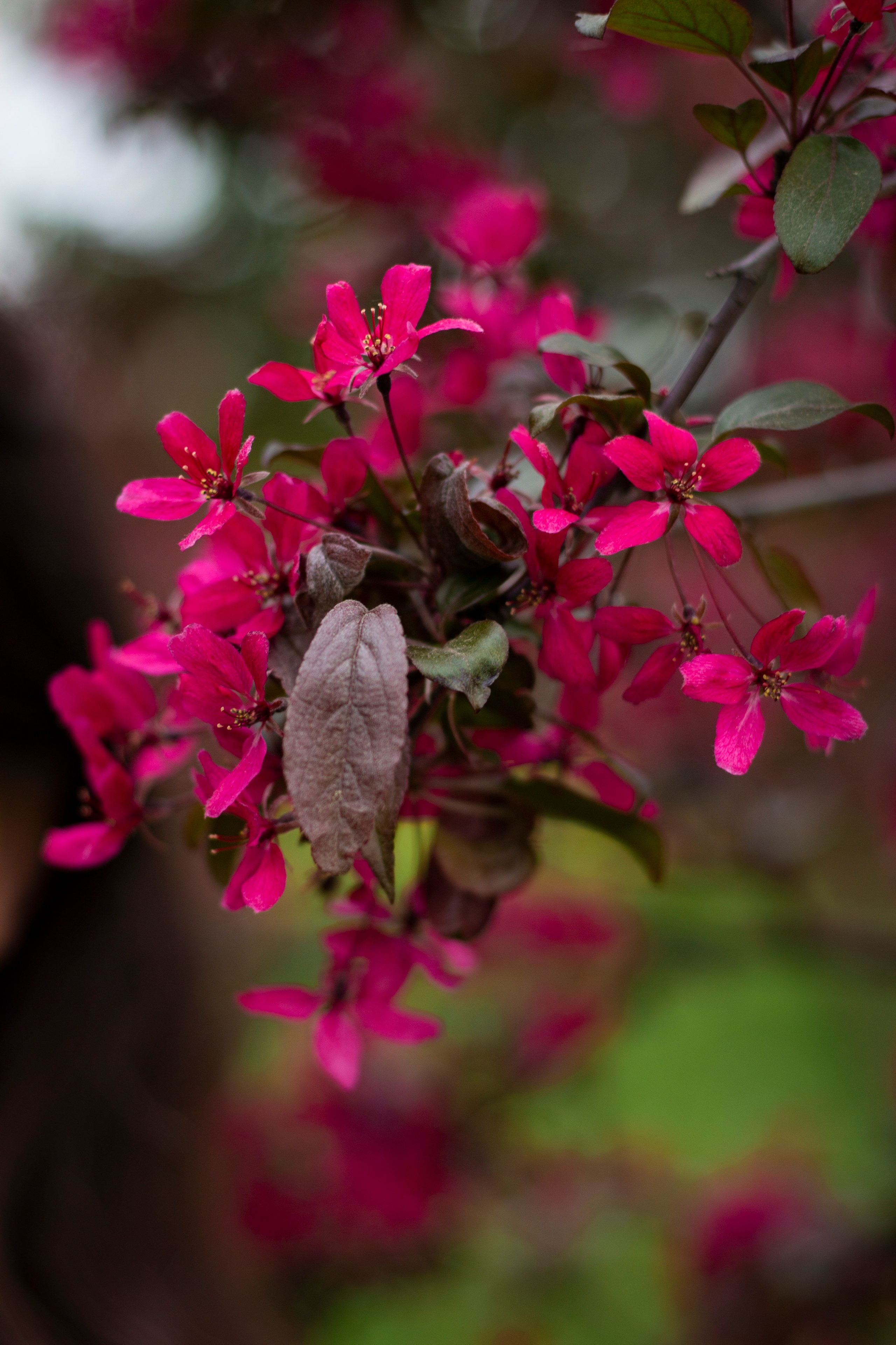 Катя, Кирилл, Тёма и Аня. Фотограф в Санкт-Петербурге Смирнова Диана