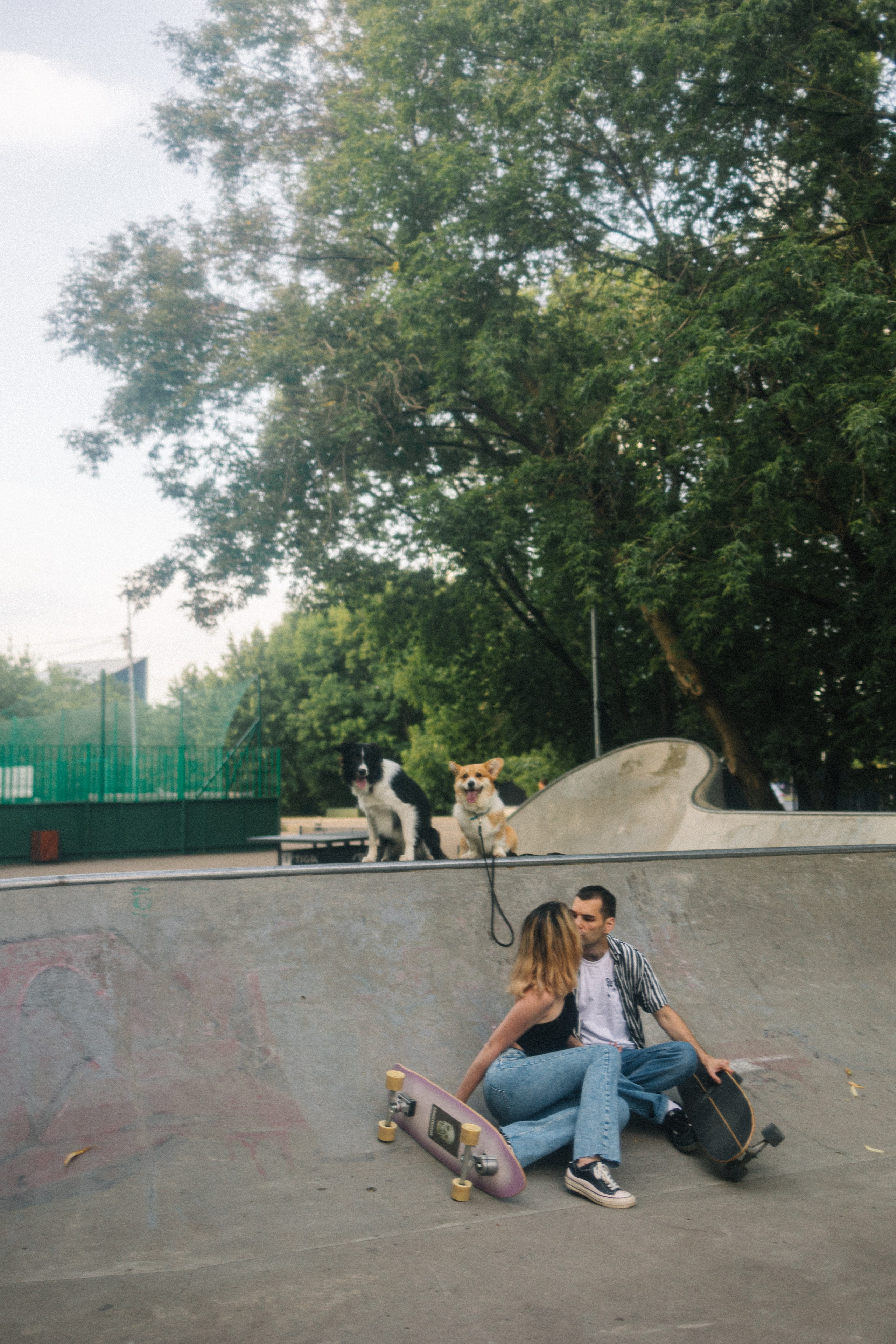 Брюс, Вейв и их ро. Фотораф — анималист Мария Шистка