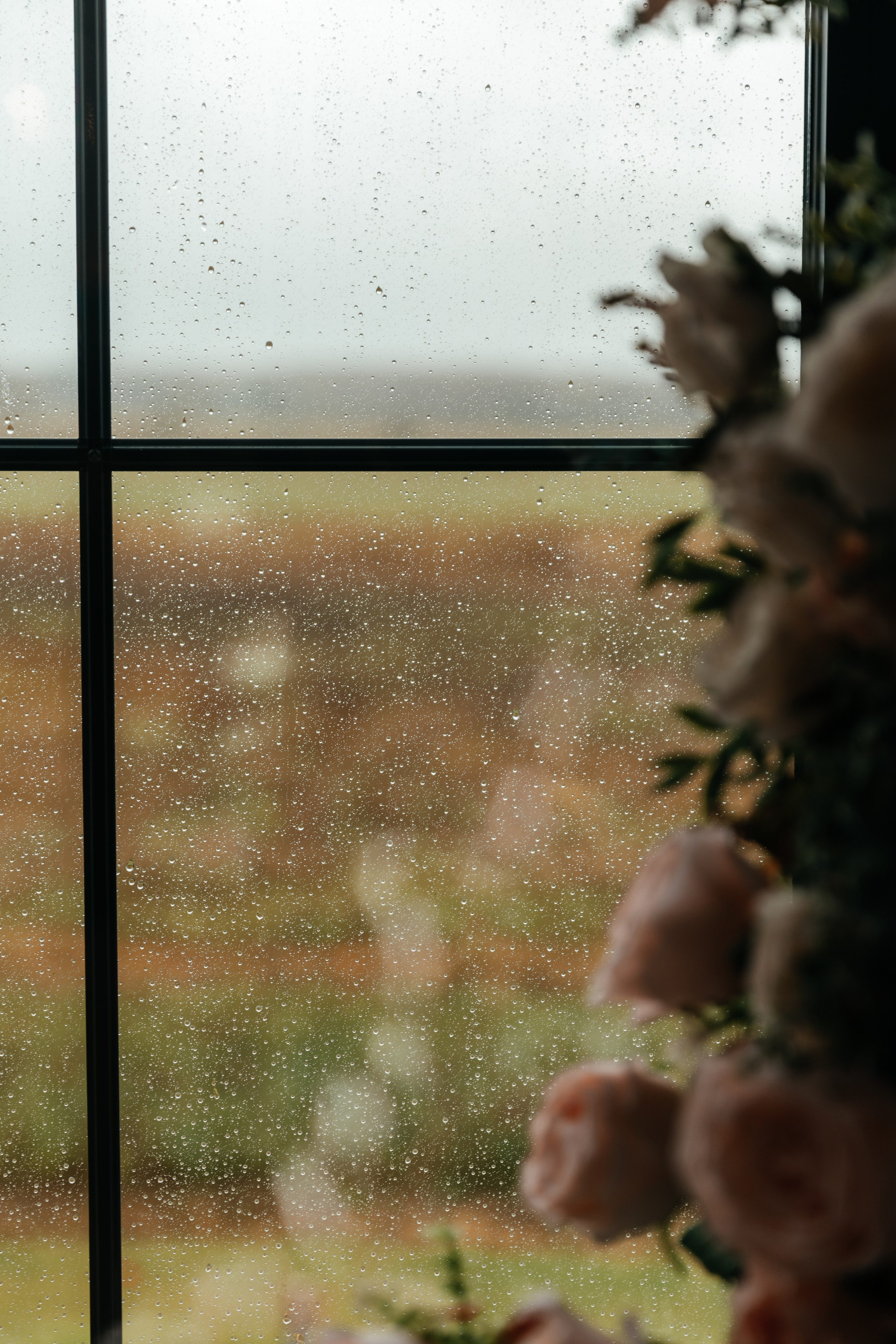 Даня и Саша | Pine River. Свадебный фотограф Ангелина Зотова | Обнинск, Москва, Калуга