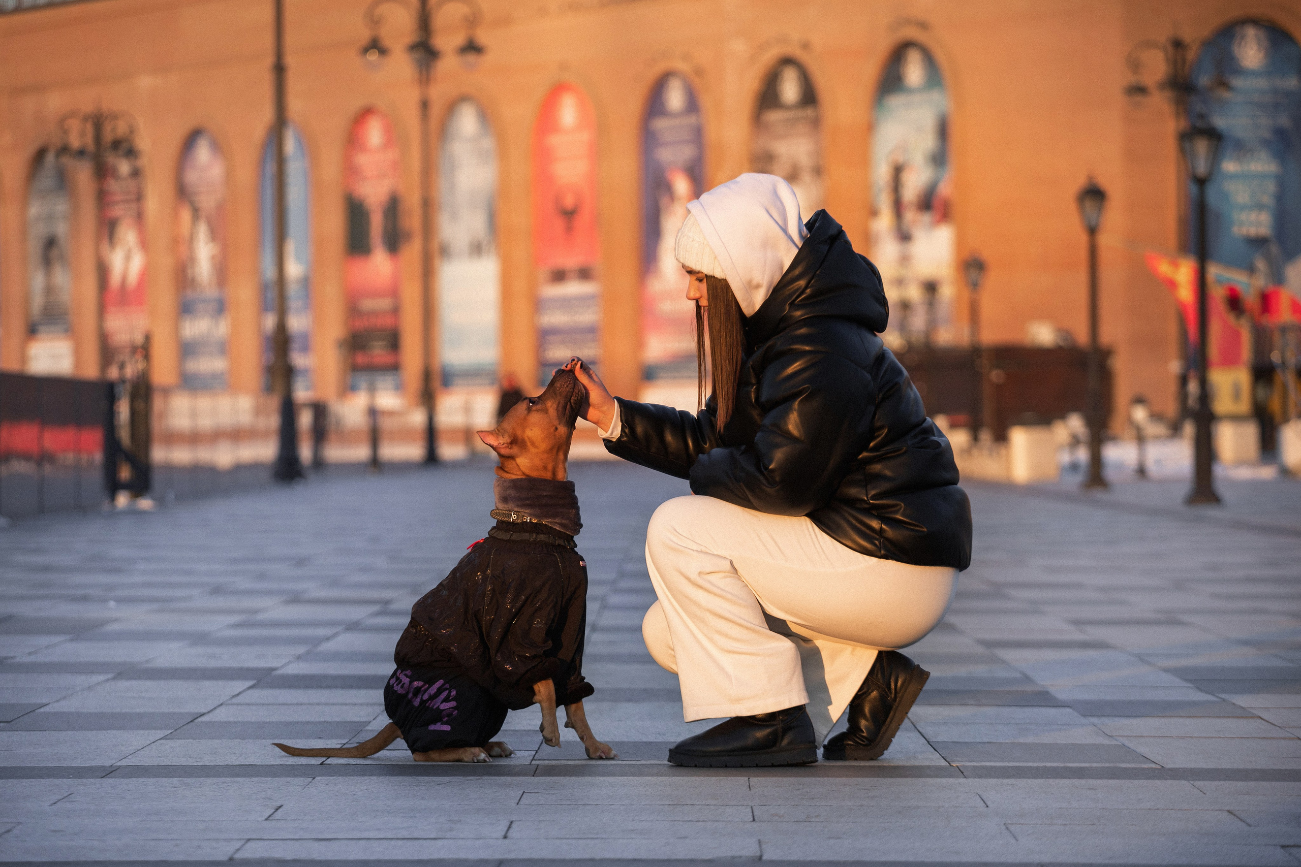 Арина и Стэфи. Фотограф — анималист Владивосток, Алина