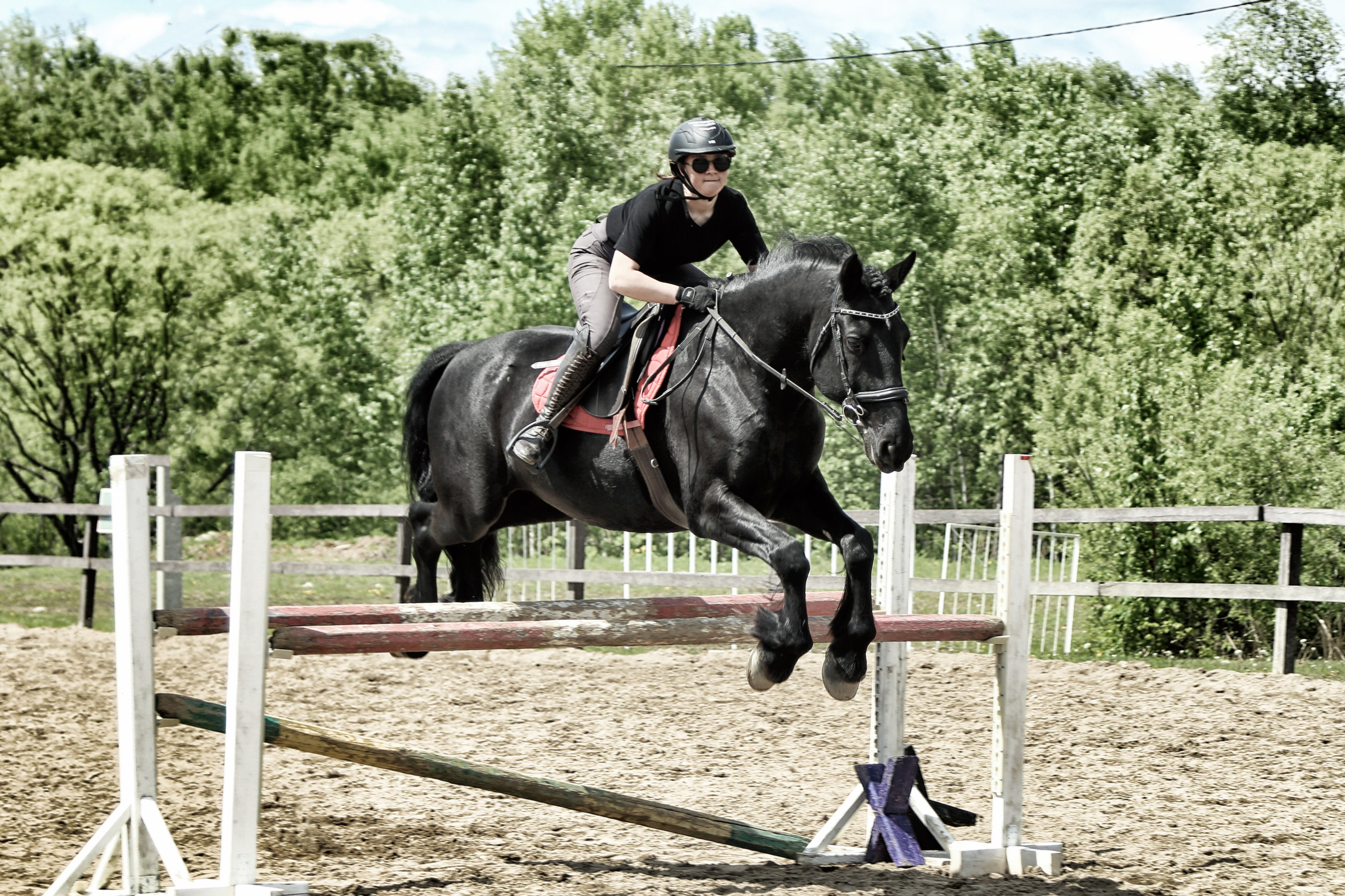 Лошади «Каскад» и «Брилиант». Алиса Томшина — Фотограф / Видеограф