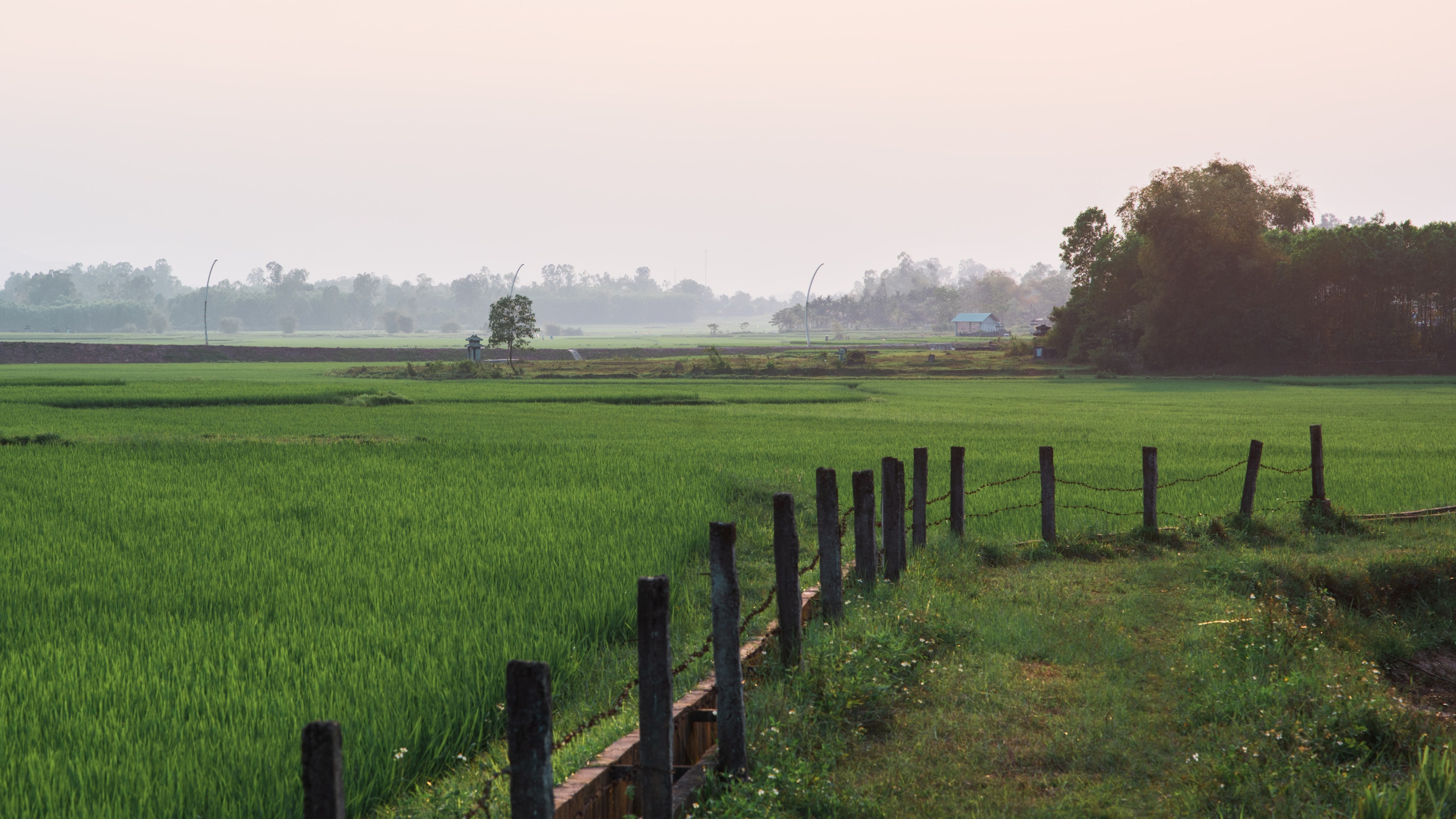 Other. Orunek photo (portrait photographer in Da Nang)