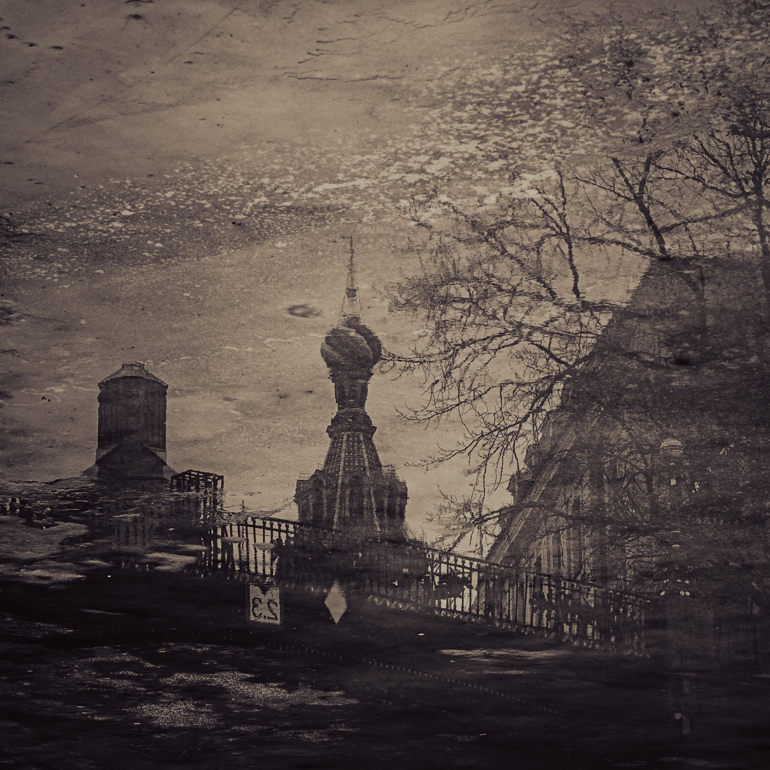 Зазеркалье 2025. Яна Каменская