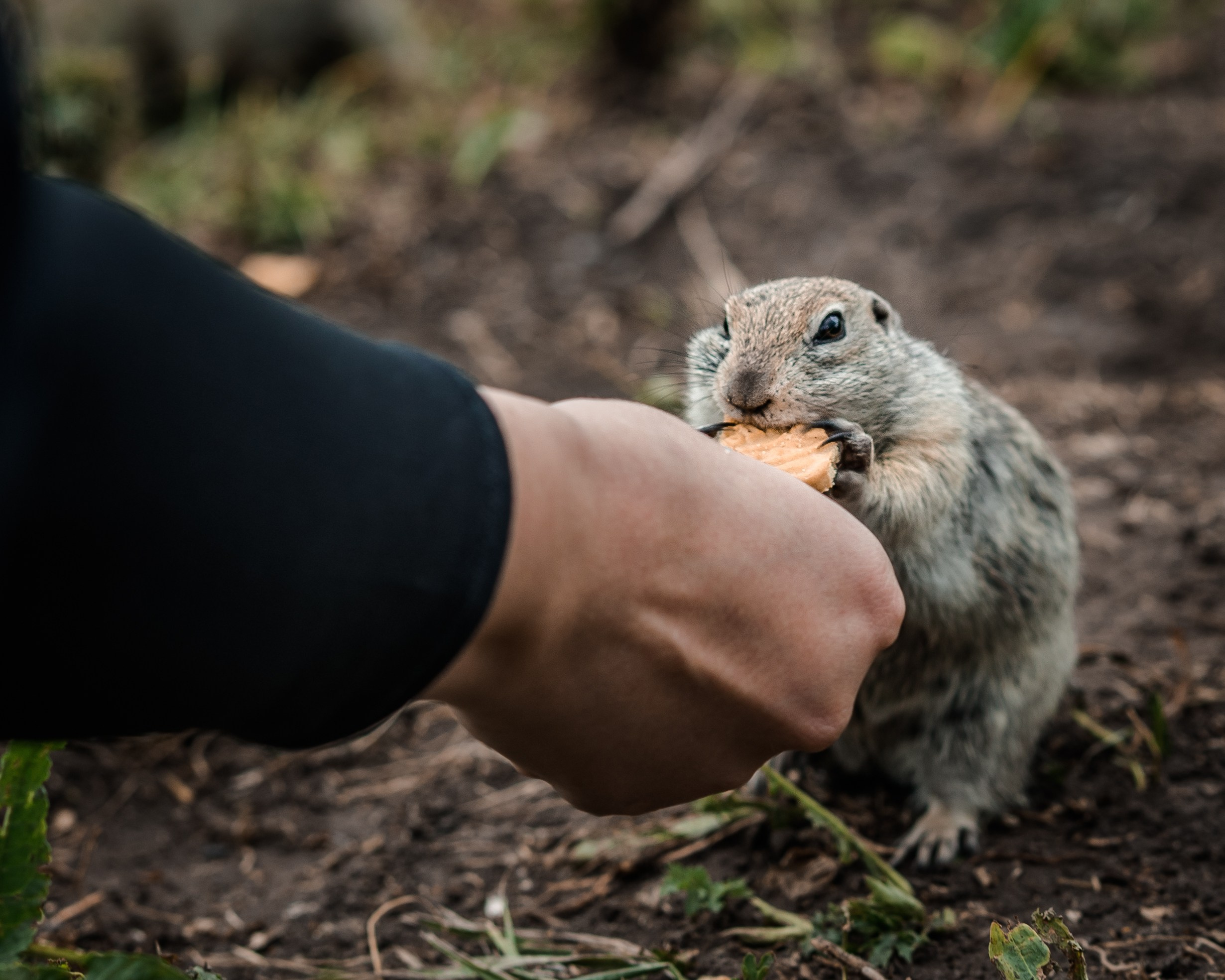 Тур в горы. Свадебный фотограф Кисловодск Пятигорск Ессентуки Железноводск Владимир Батищев
