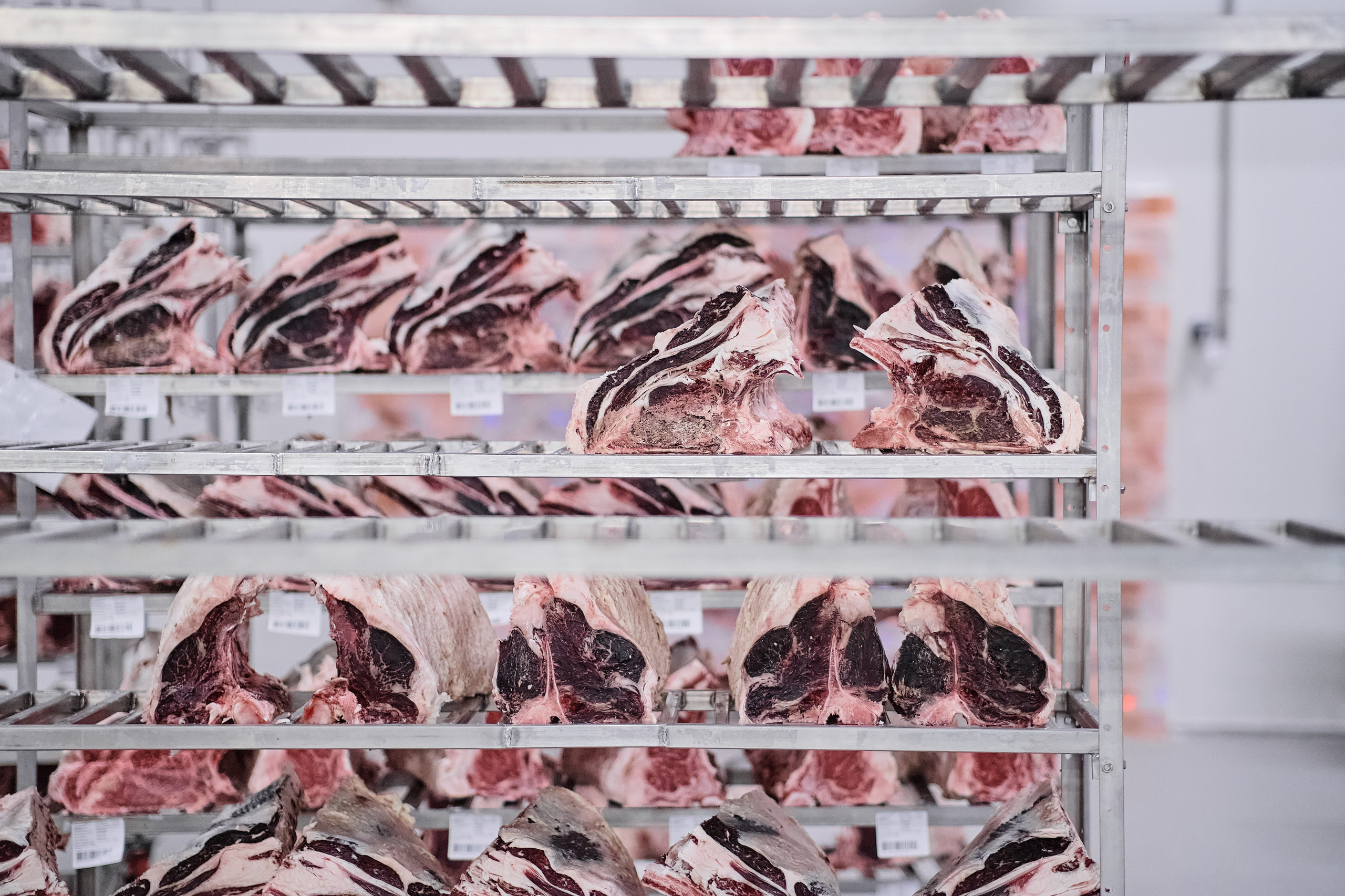 Фотограф на мероприятие. Light Media — креативный видеопродакшн