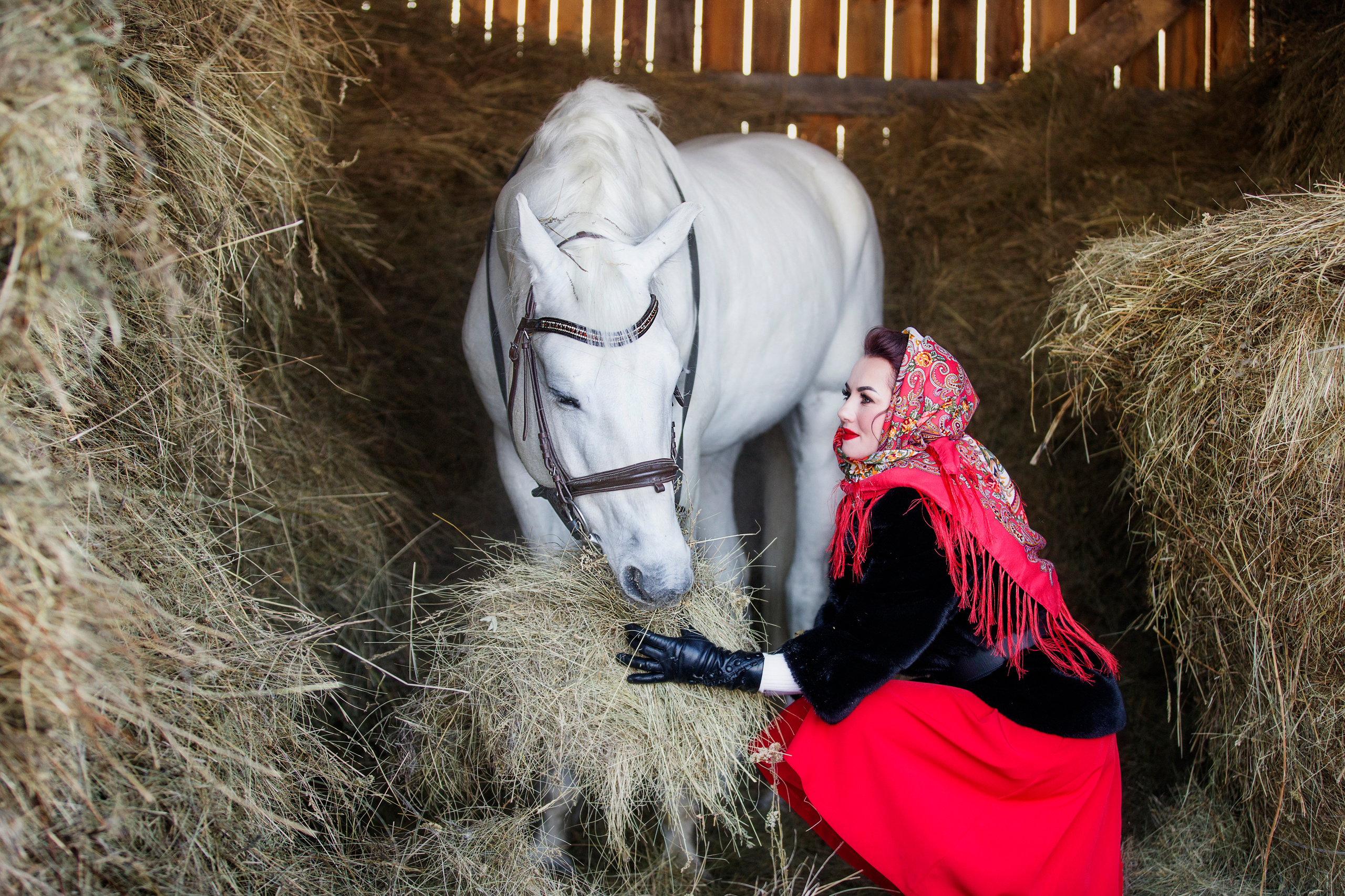 Индивидуальная съемка, съемка с лошадьми, фотосессия зимой. Фотограф в Канске Нина Пуряева