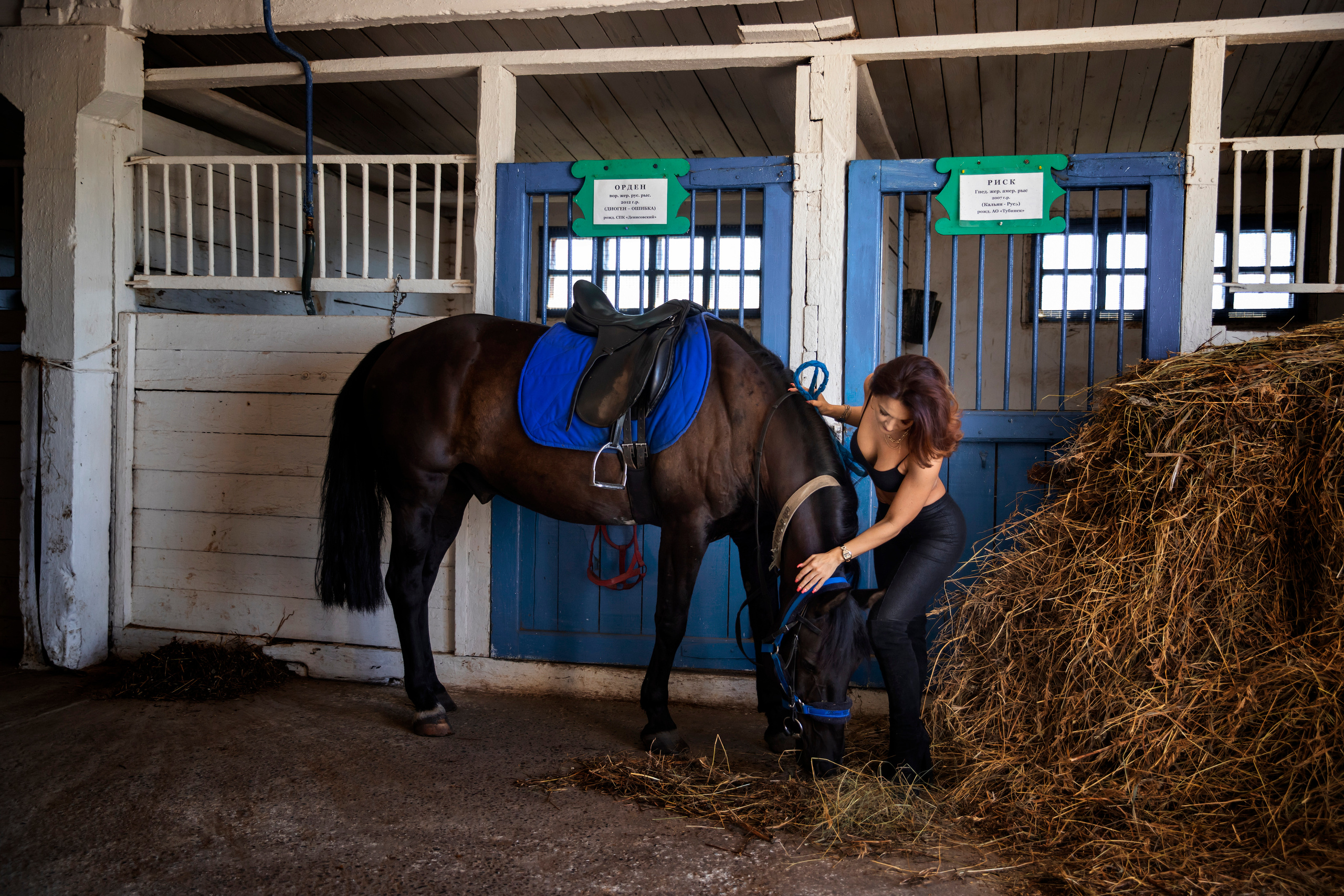 Съёмка с лошадьми. Фотограф в Канске Нина Пуряева