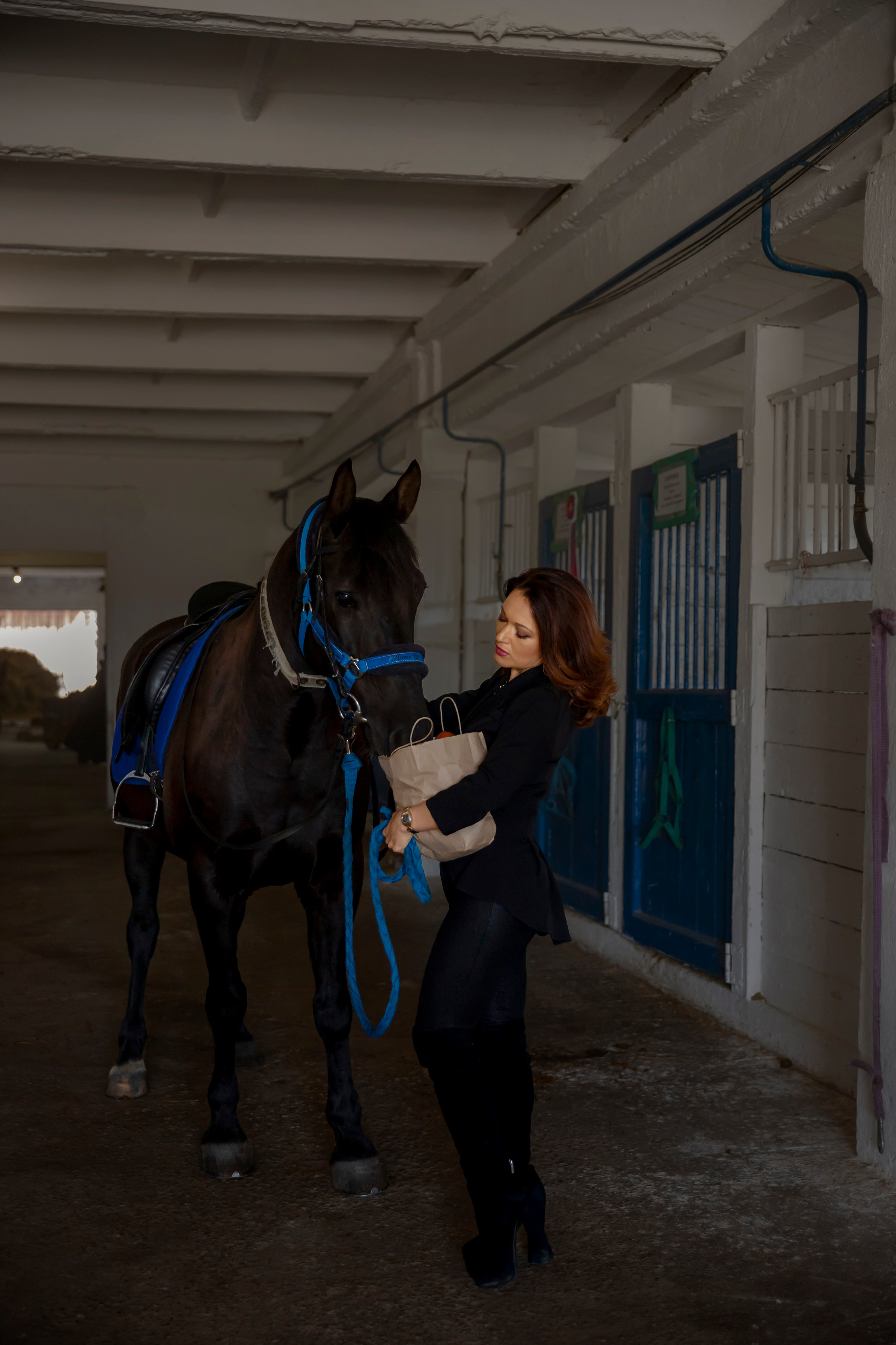 Съёмка с лошадьми. Фотограф в Канске Нина Пуряева