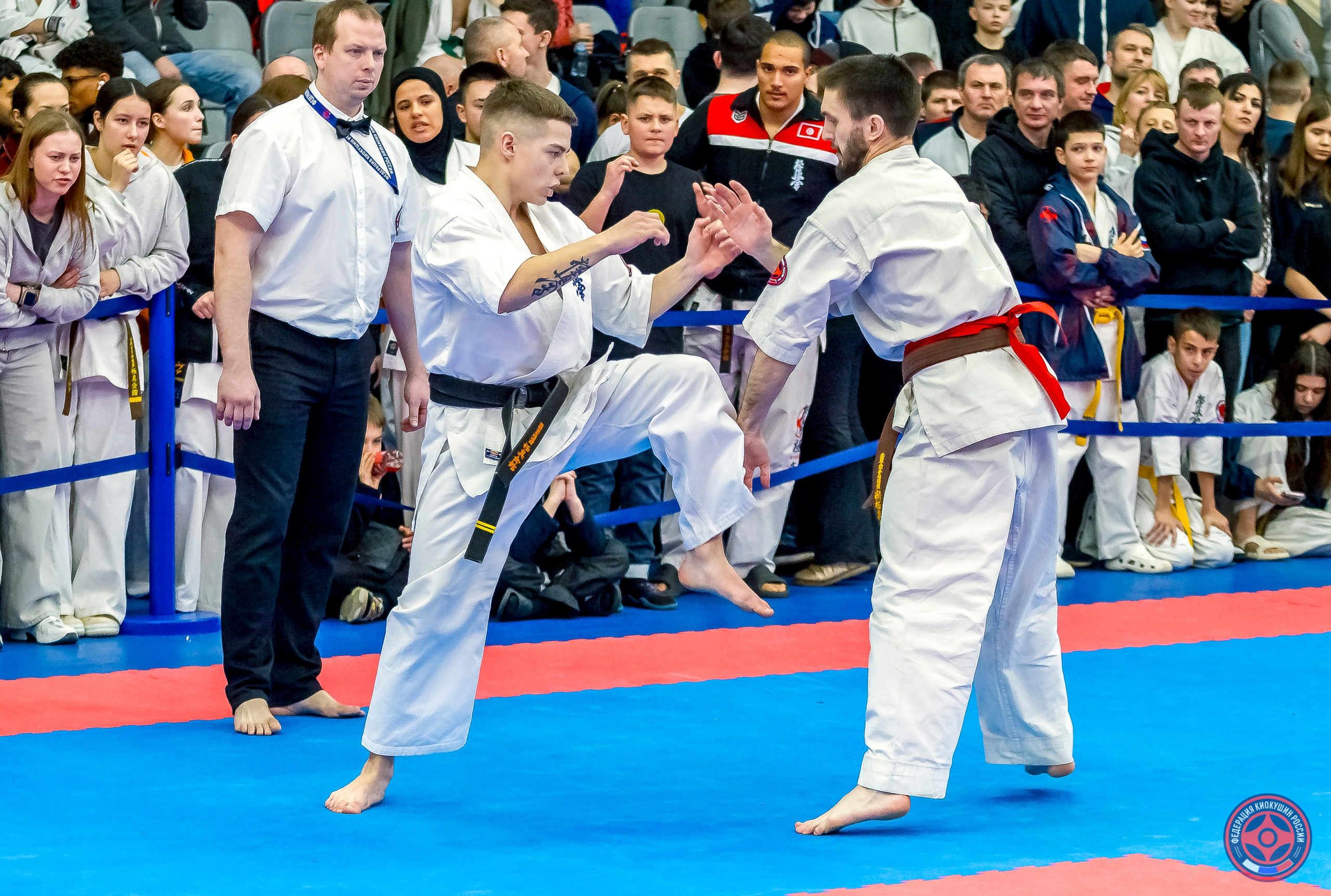 Международный турнир по киокушин «Открытый кубок Seiken». Репортажная съемка в Москве и области. Анималистика