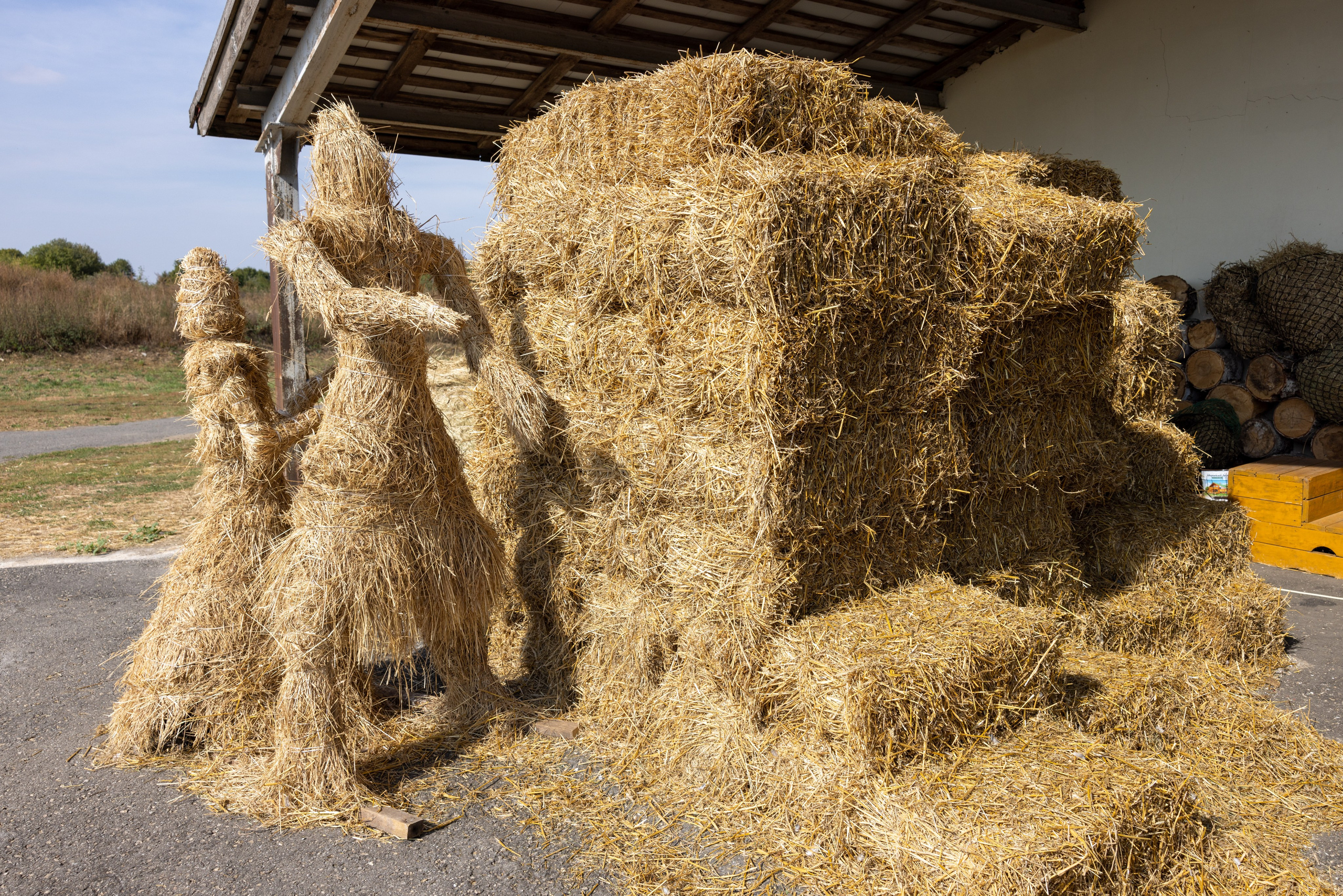 Поездка на поле Кулеково. Фотограф в Туле Крупский АнДРей. Фотостудия «КАДР71» в Туле