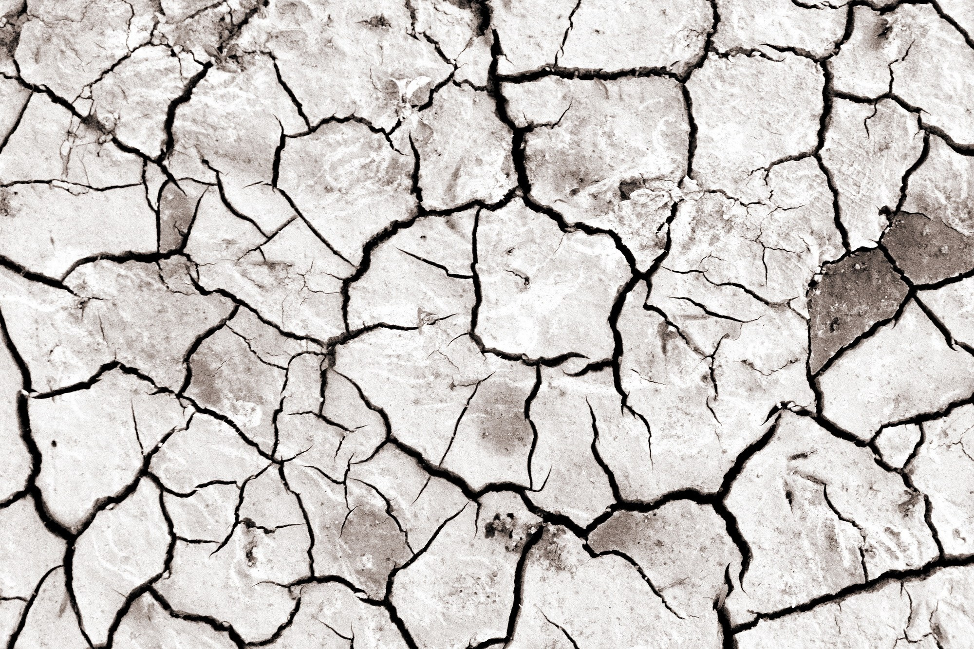 Синдром предков. Наталия Шульгина — визуальный художник, фотограф