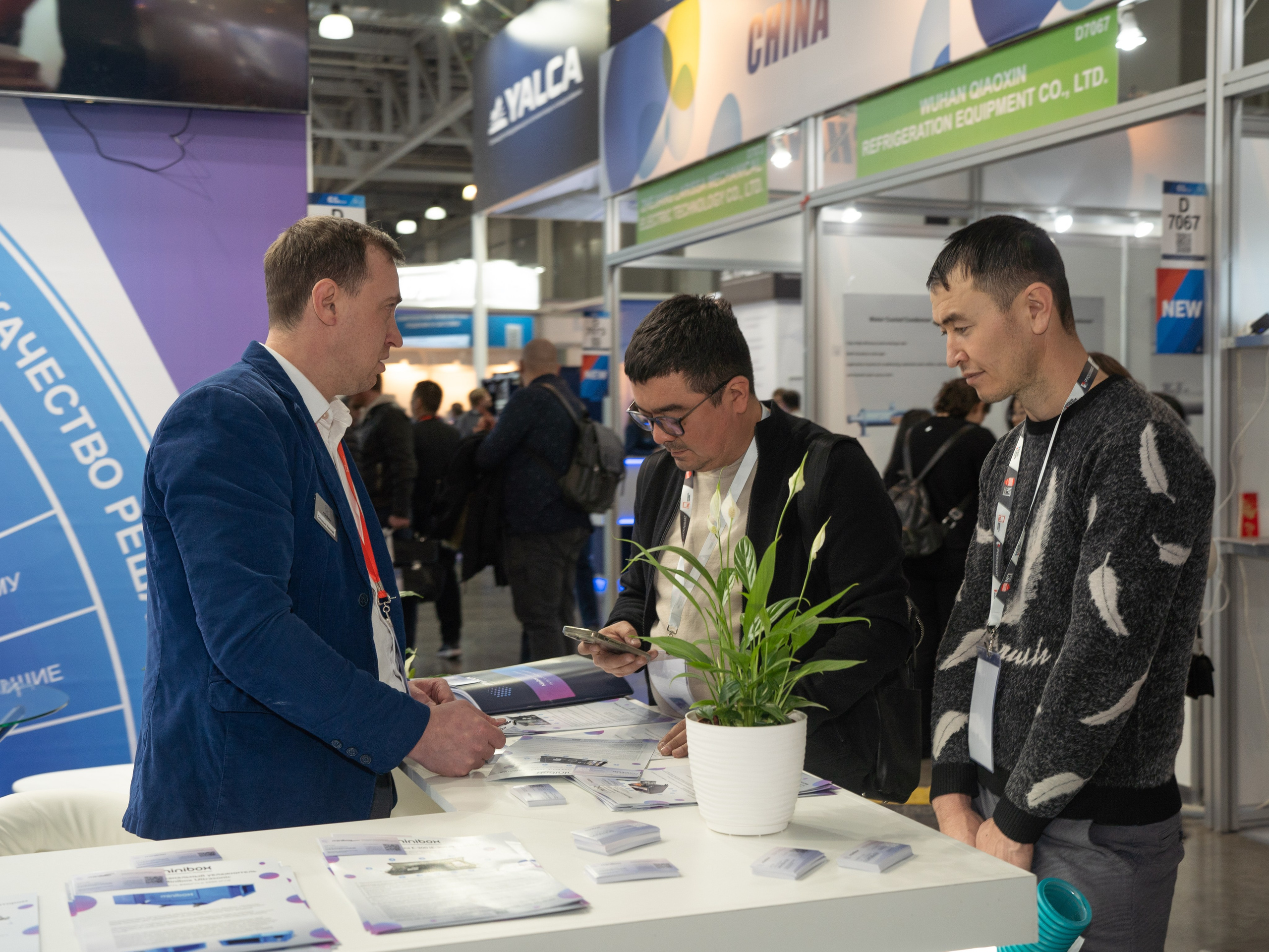 Крокус Вентиляция. Фотограф Зинаида Евдокимова