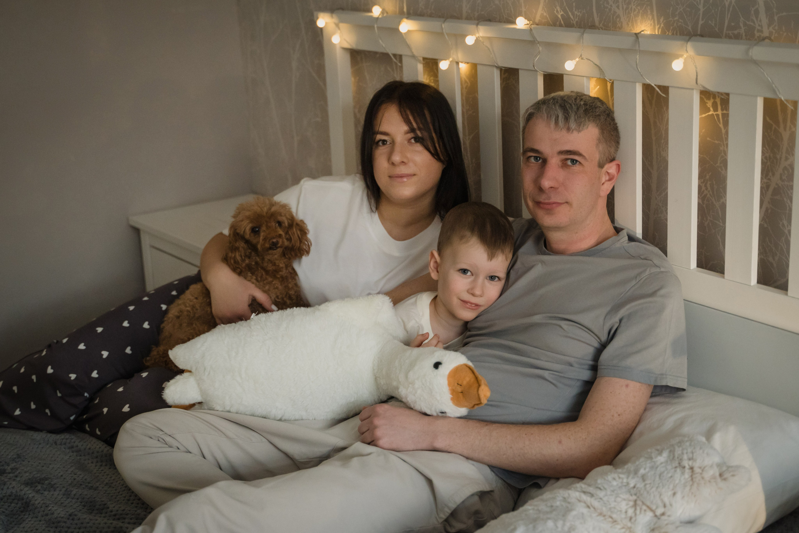 Предновогодний вечер. Главная