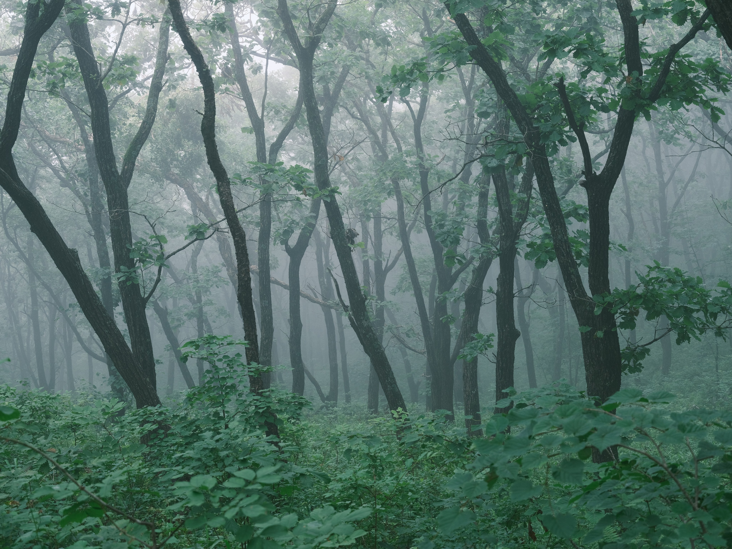 Искусство фотографии