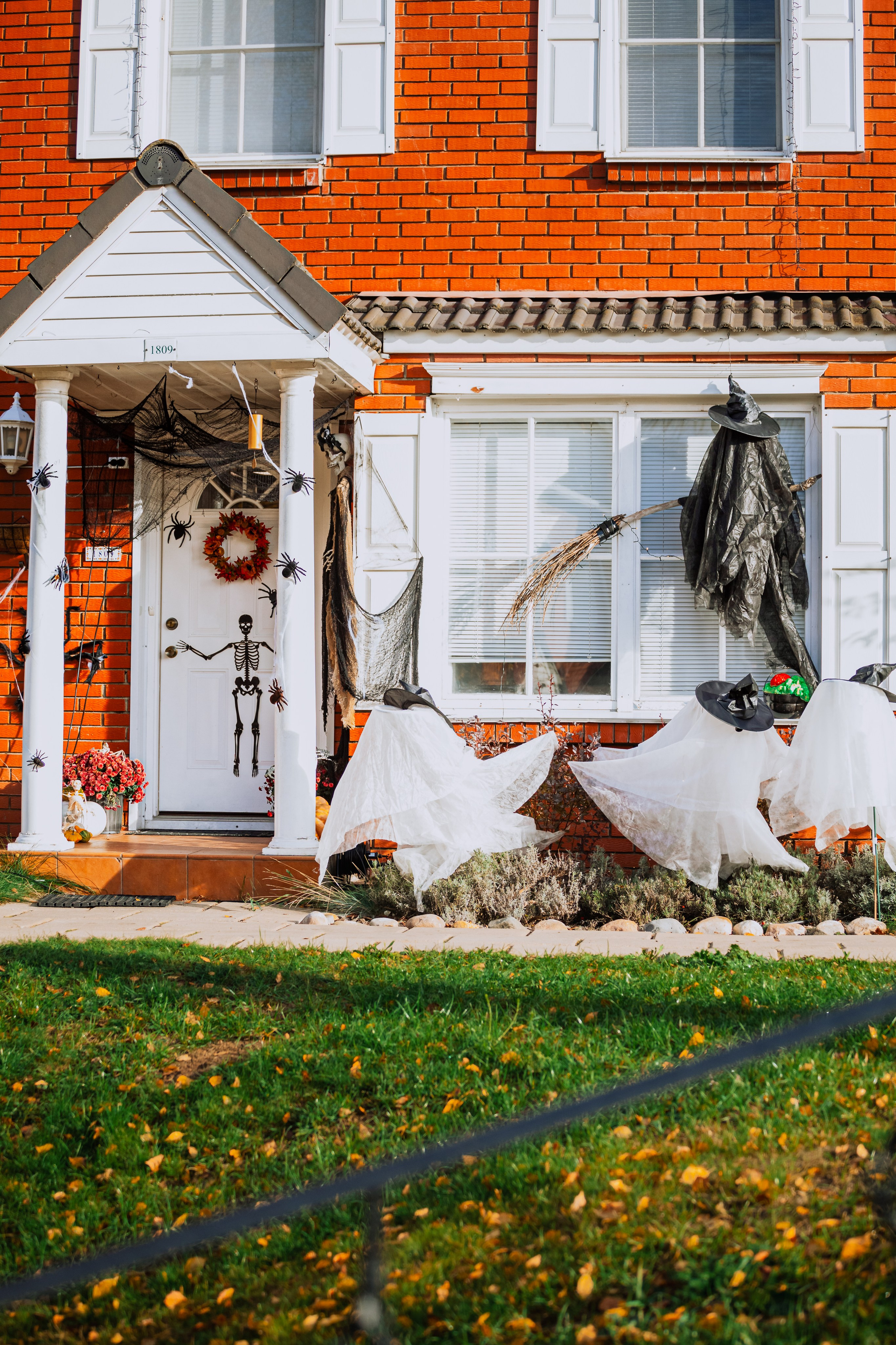 Оля, Харви, Луис. Фотограф-анималист Татьяна Степанова