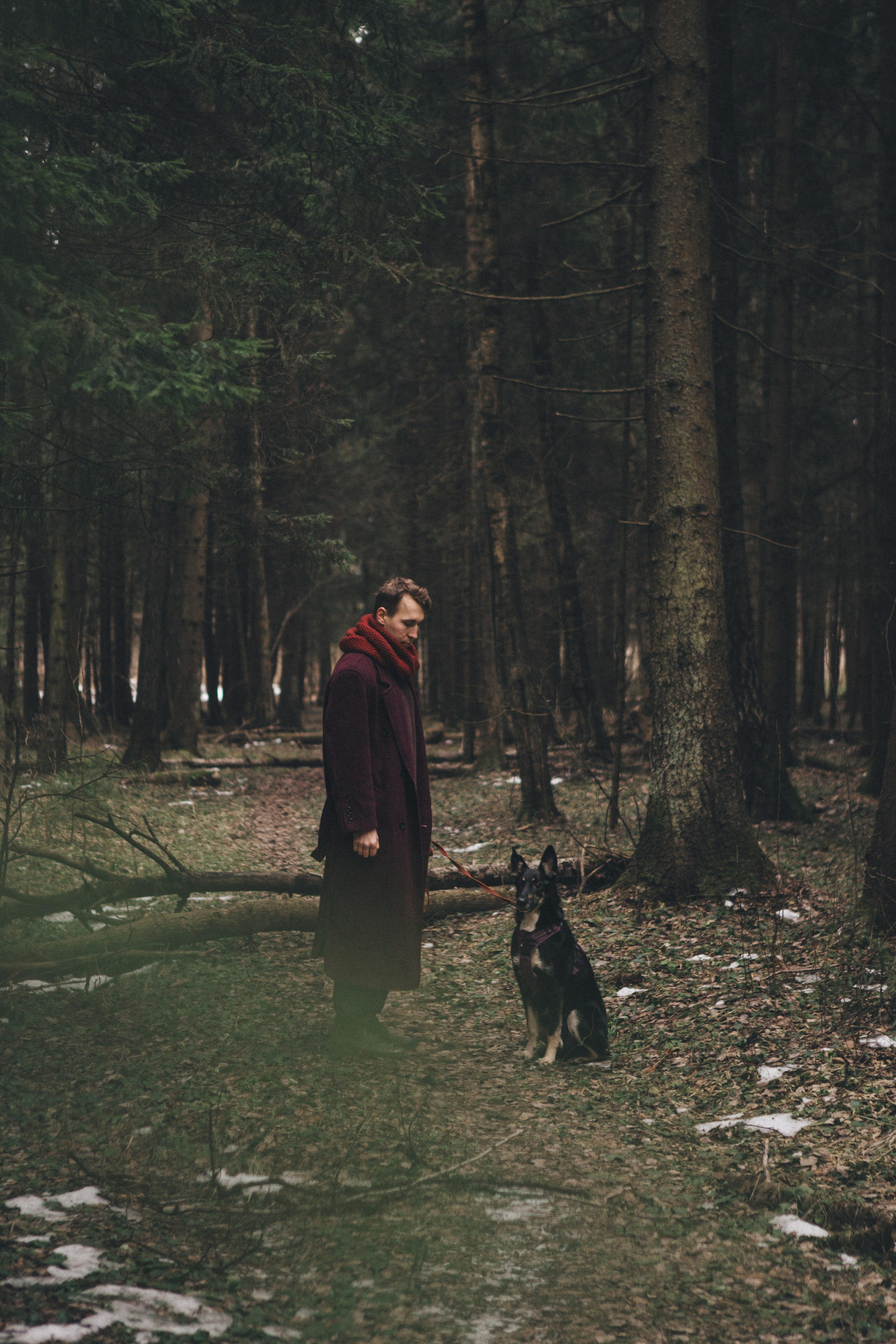 A cinematic tale of true love and unbreakable friendship between a man and a dog. Portrait, family and pet photographer in Cyprus, Ksenia Bourdelle