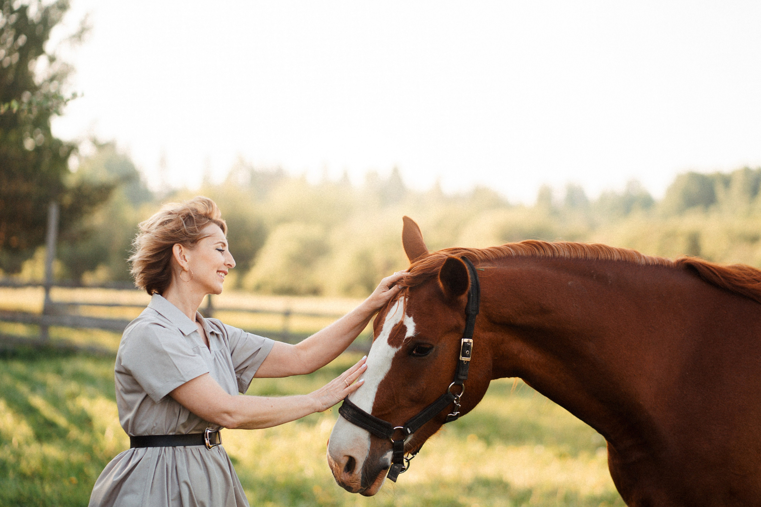 Конные. Главная