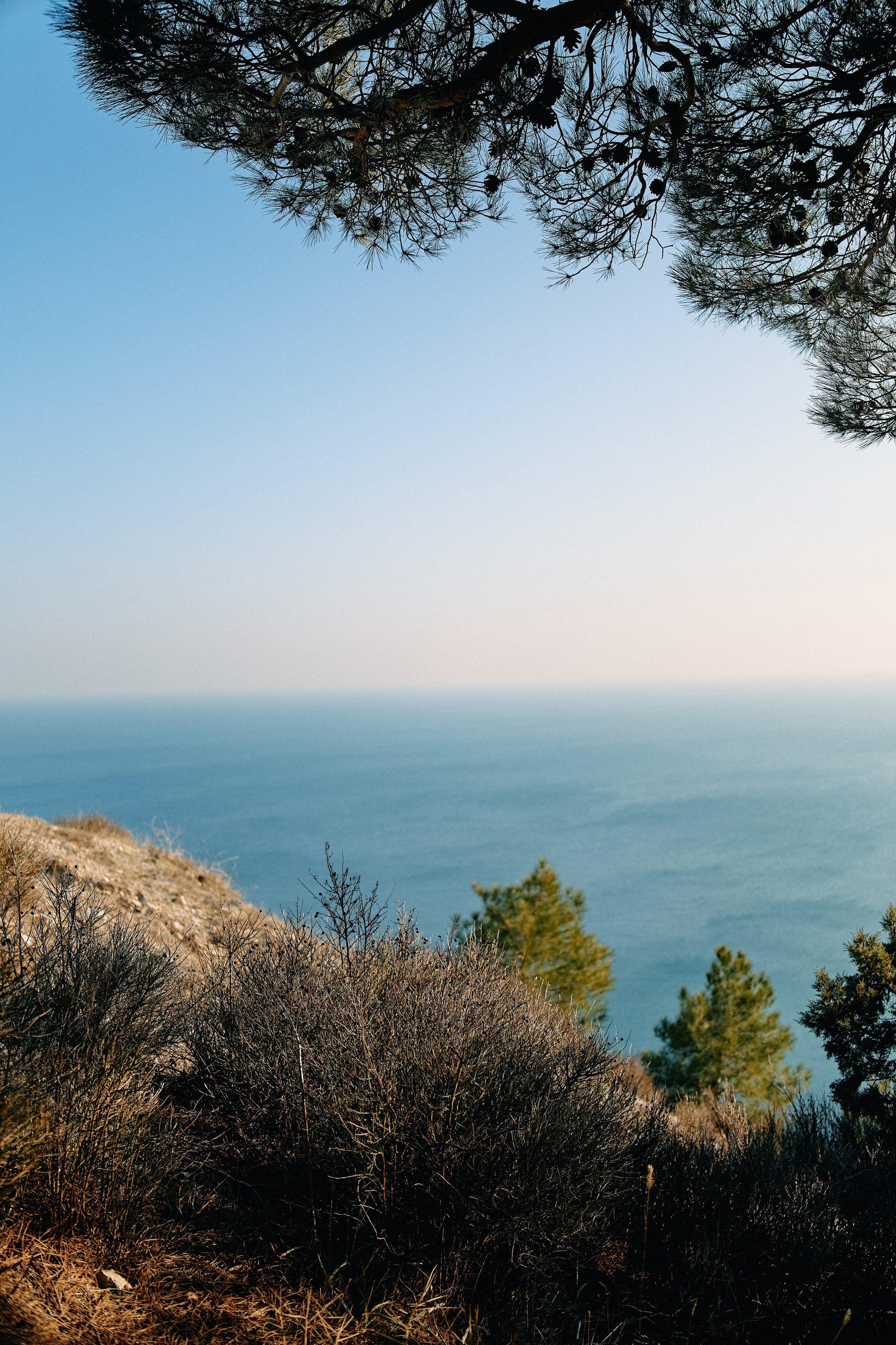 Юг России. Профессиональный Фотограф во Владимире, в Москве и в Суздале — Полина Романычева