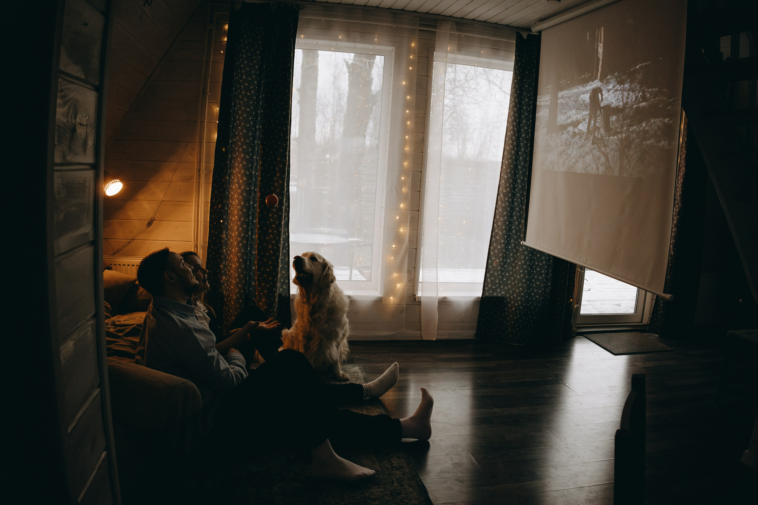 Оливер и его семья. Фотограф — Анималист | Санкт-Петербург