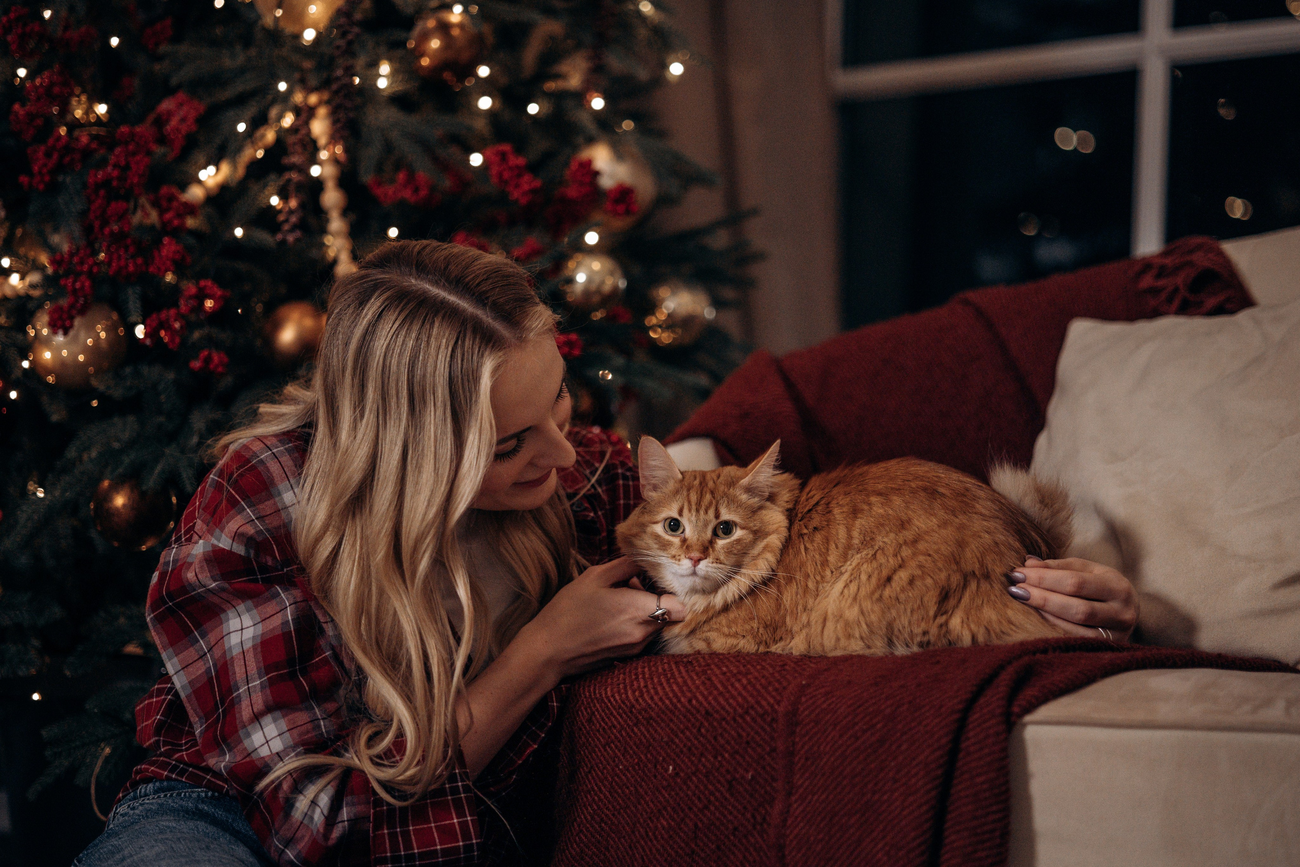 Эля и Франц. Фотограф — Анималист | Санкт-Петербург