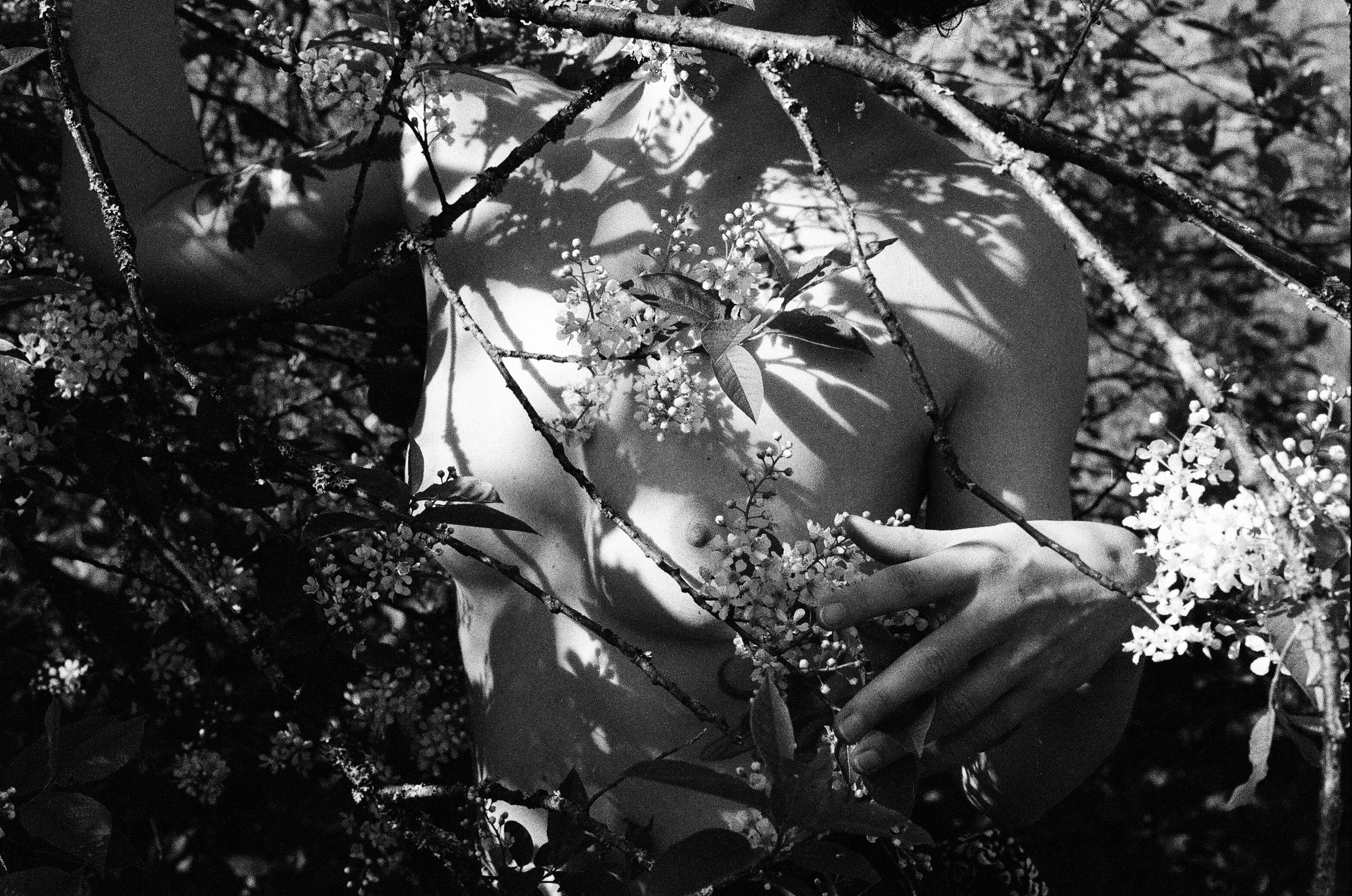 Майская обнаженная искренность первых соцветий. Мари Линёк-Стельмах Фотохудожник Санкт-Петербург/Урал