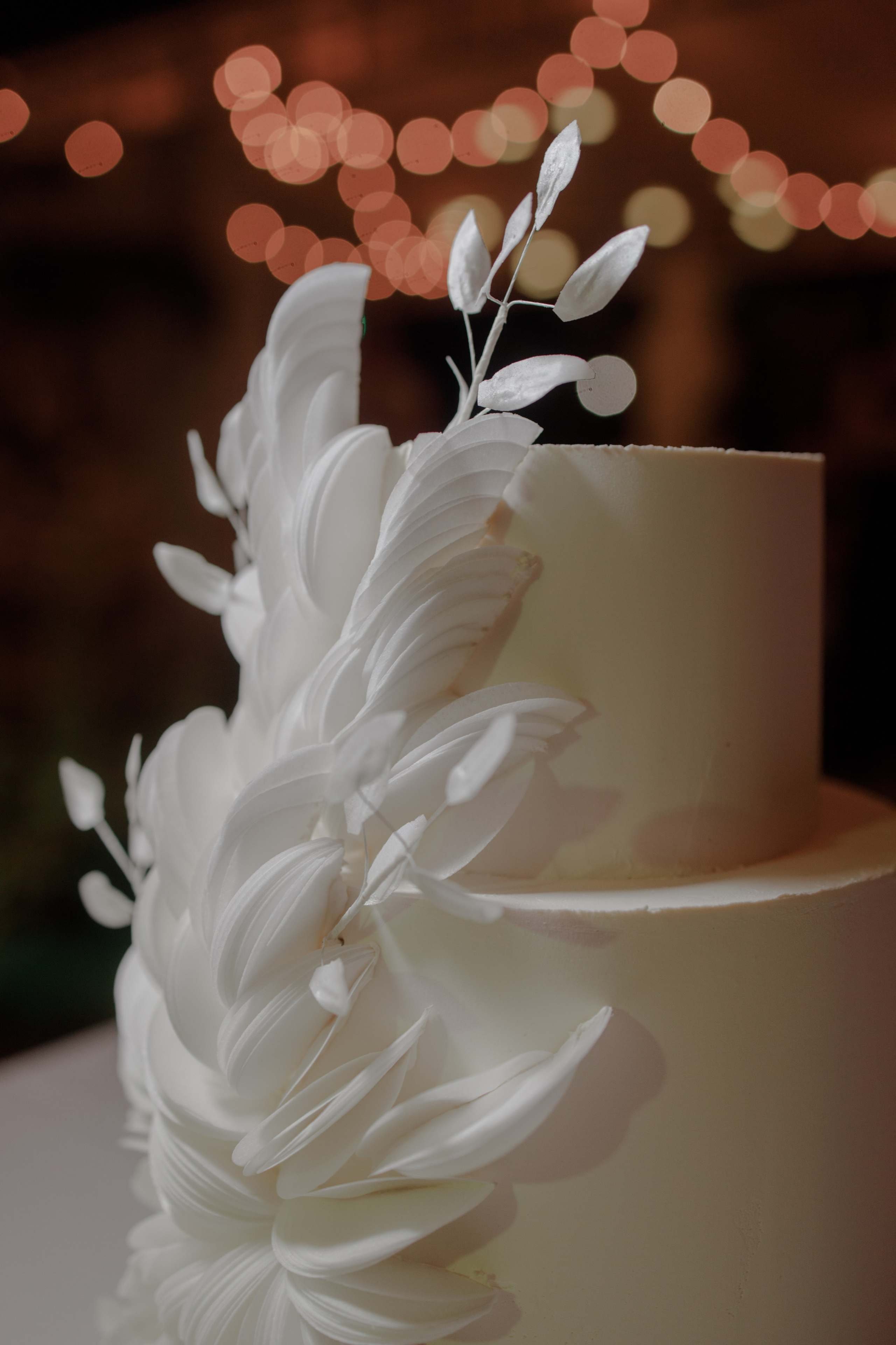 Wedding. Фотограф Пятигорска Кисловодск Домбай Архыз